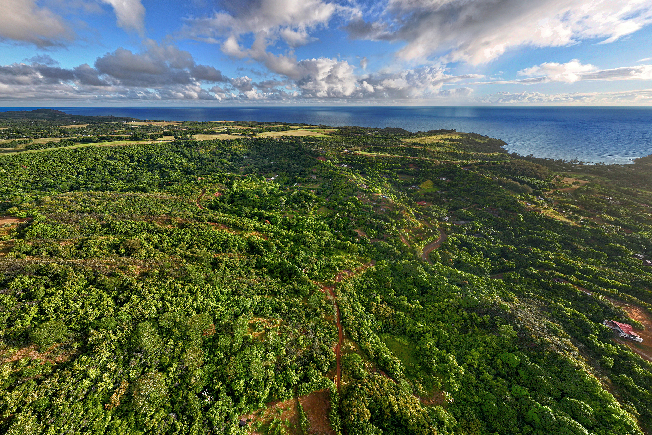 6565-c Koolau Rd Property Photo 22