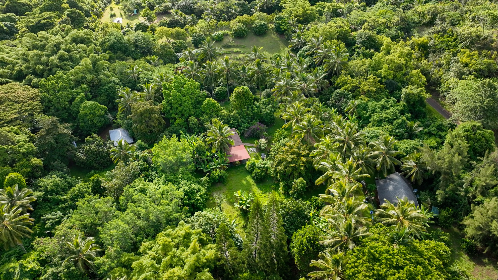 6565-c Koolau Rd Property Photo 27