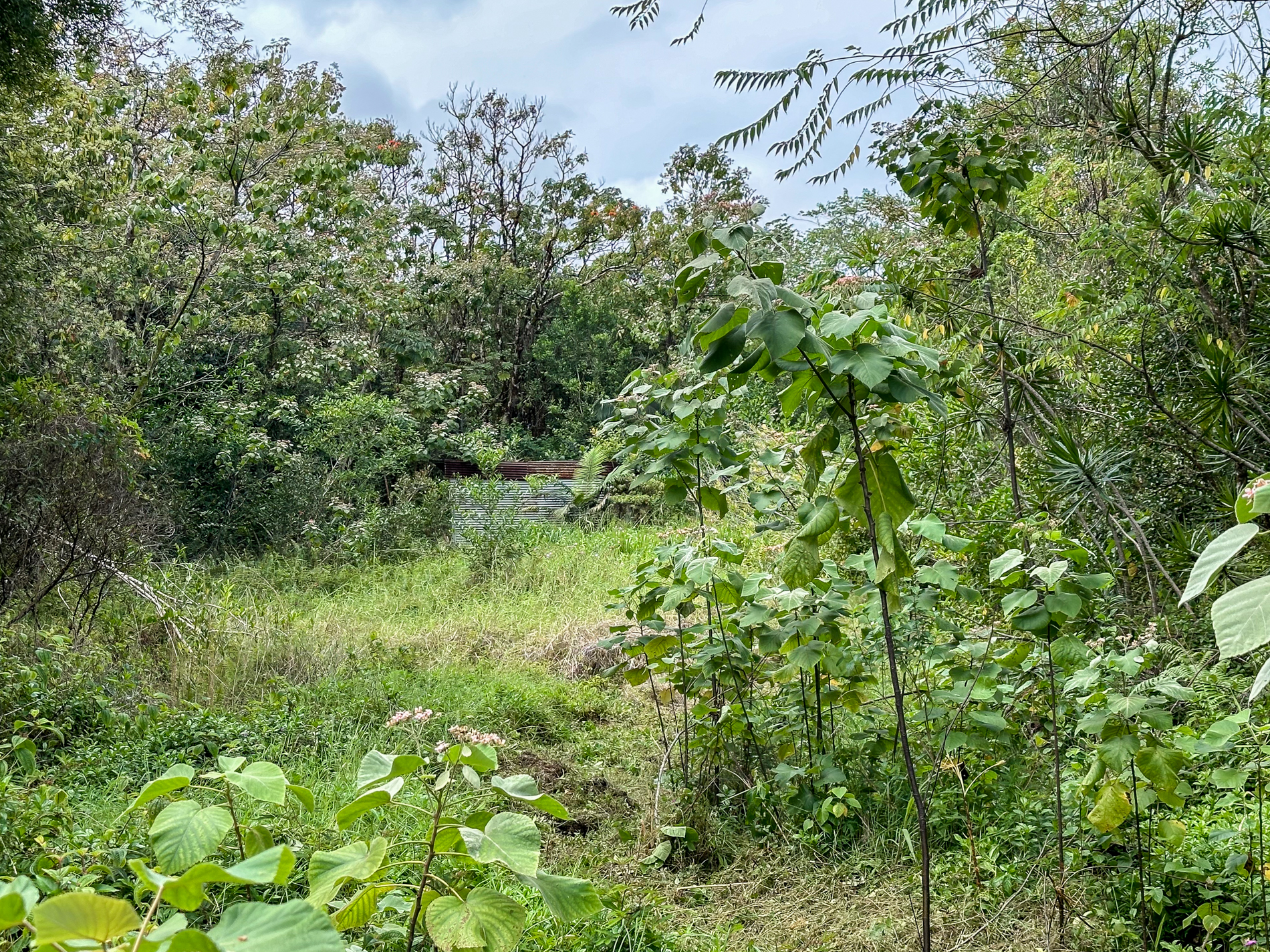 250 Laula Rd Property Photo 6
