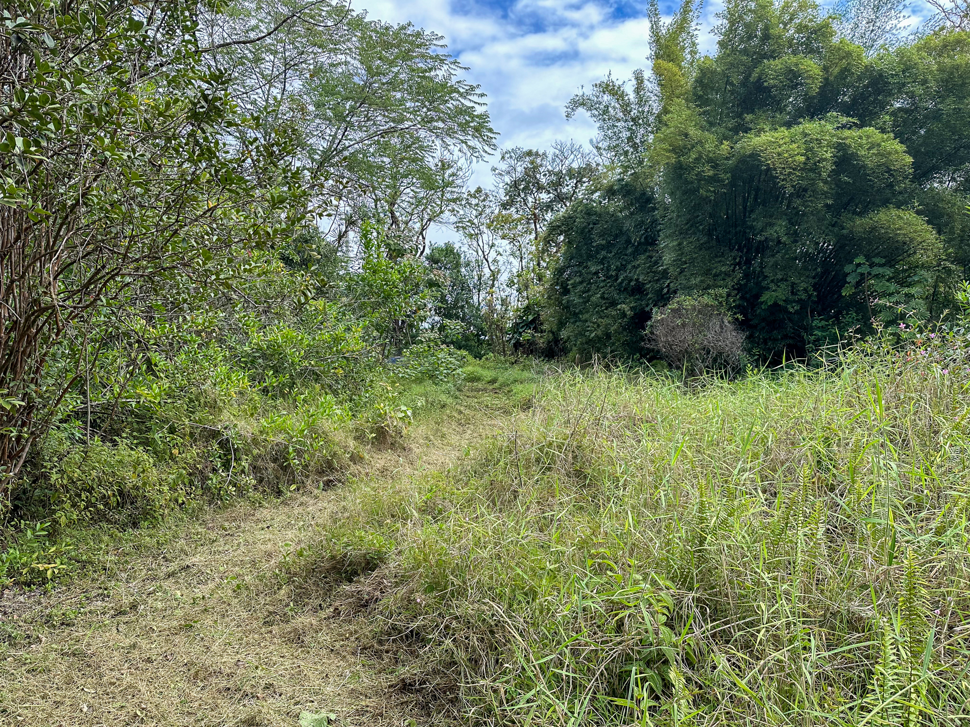 250 Laula Rd Property Photo 7