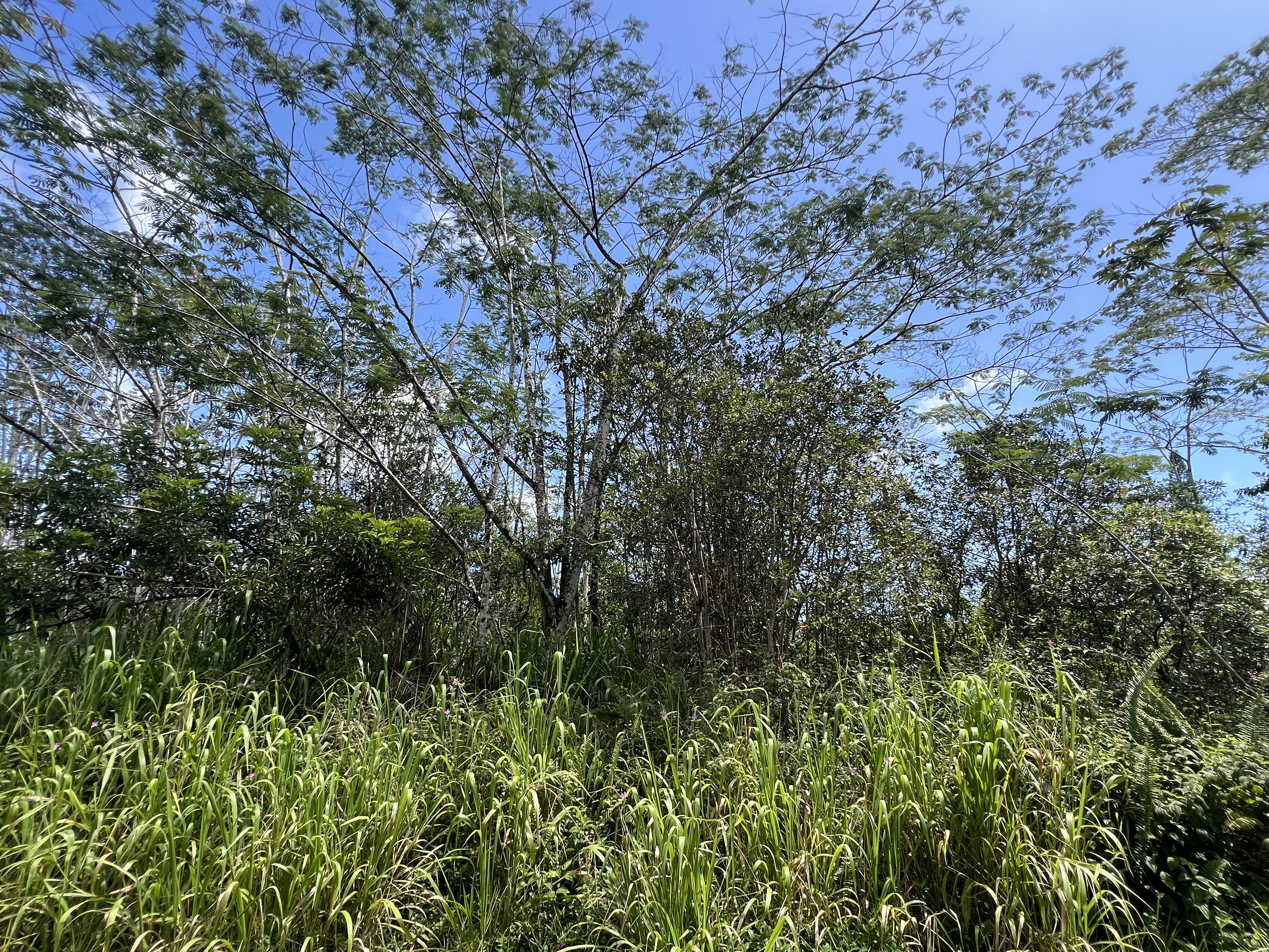 Kailua Rd Property Photo 1