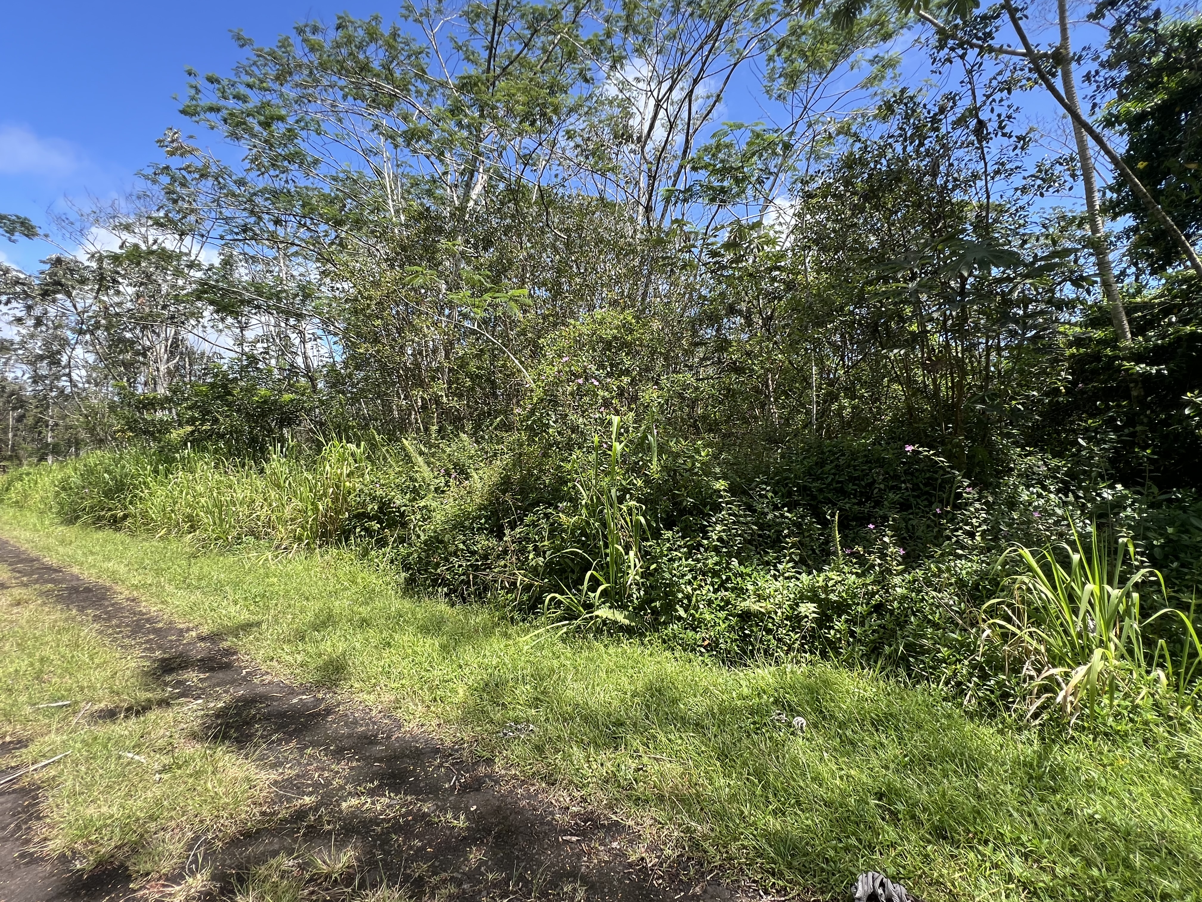 Kailua Rd Property Photo 2