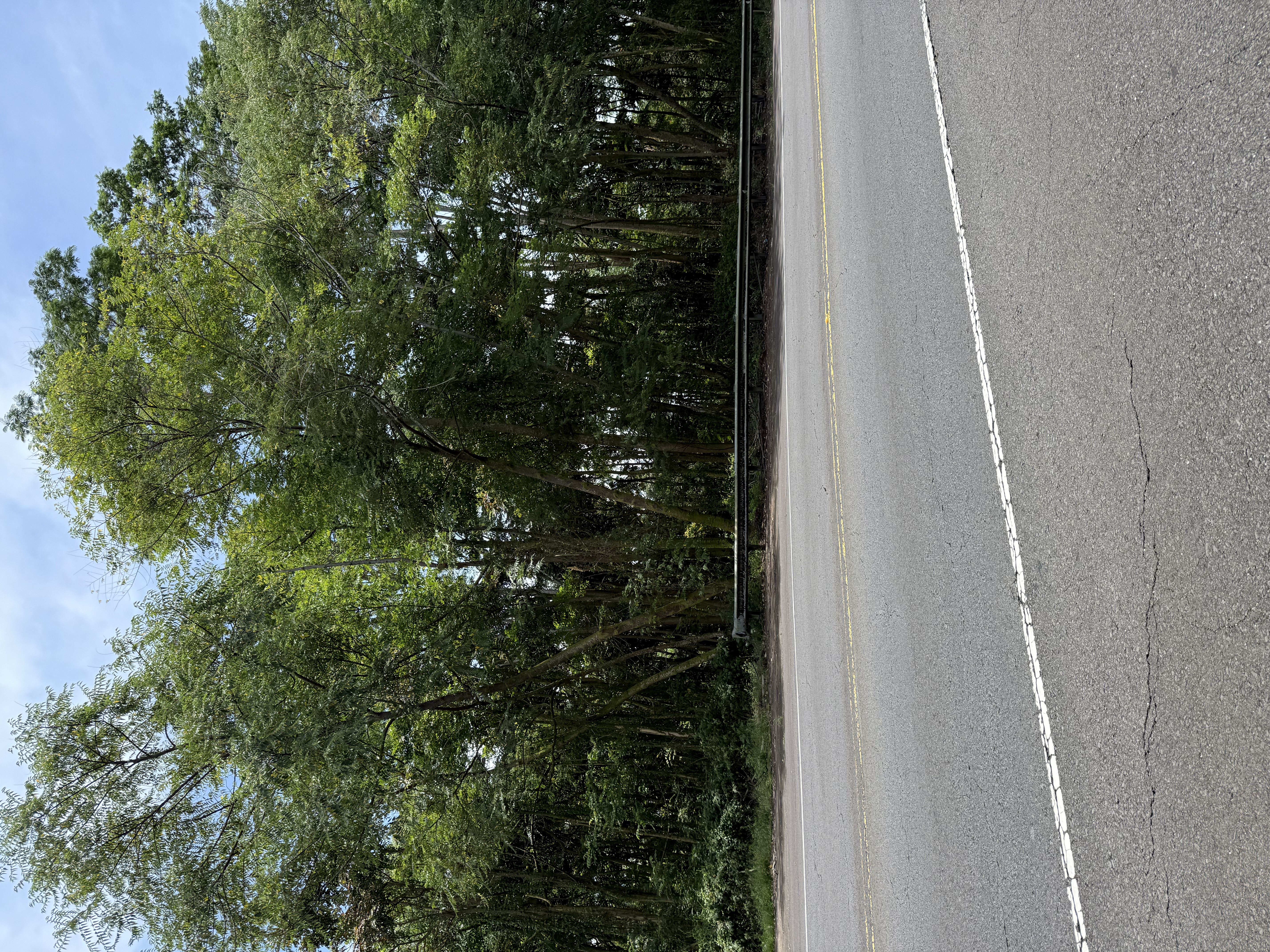 Puainako Extension Property Photo 1