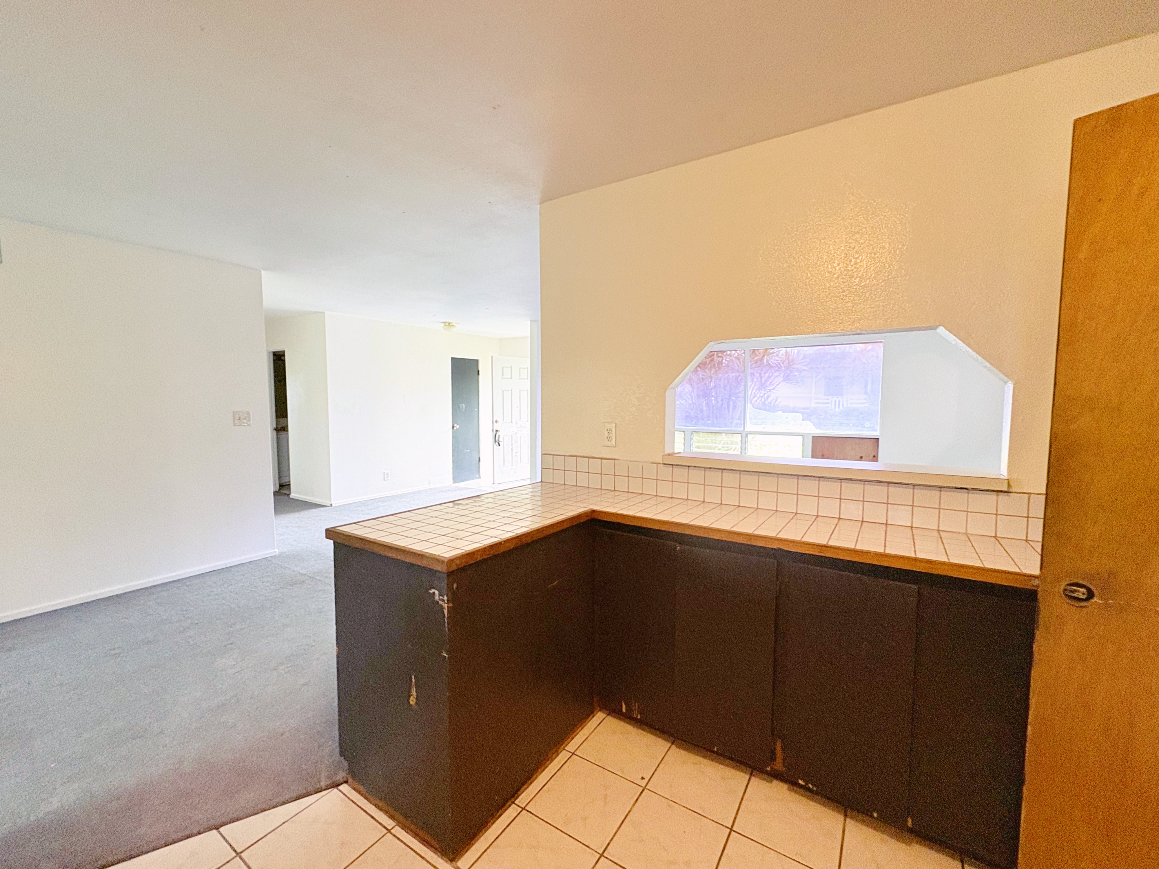 14-806 Nanawale Circle Property Photo 5