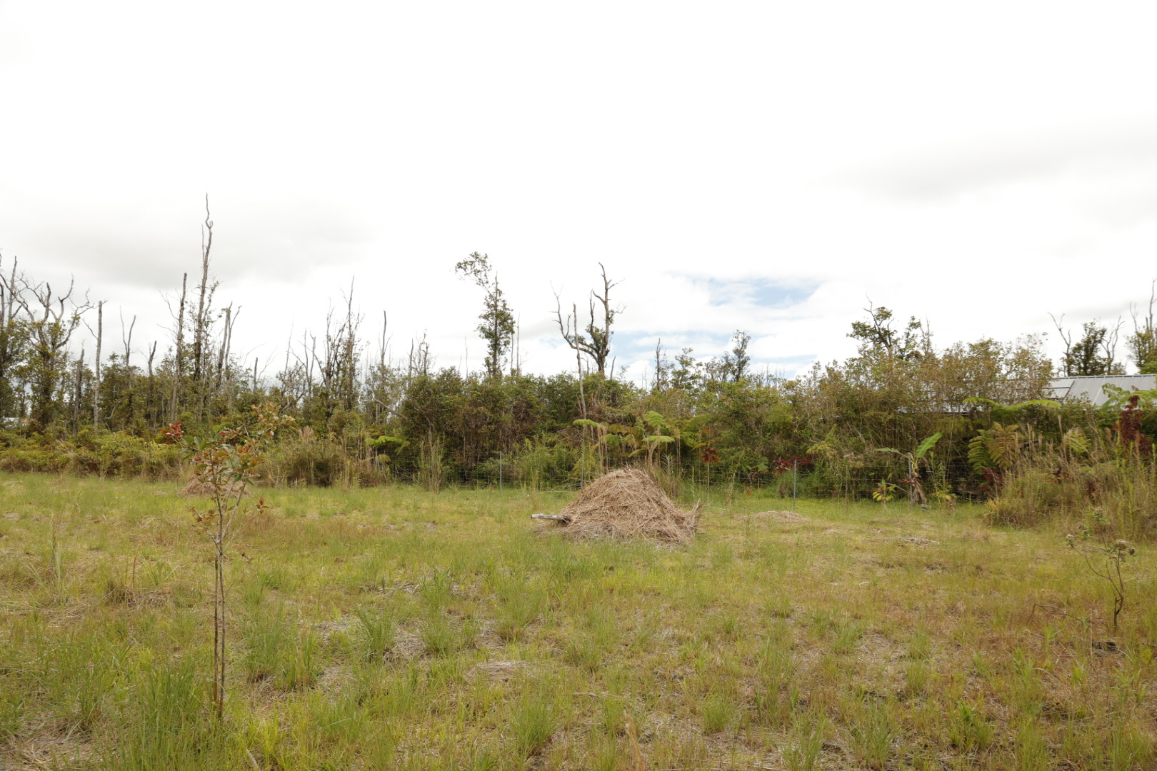 11-2267 Ohialani Rd Property Photo 5