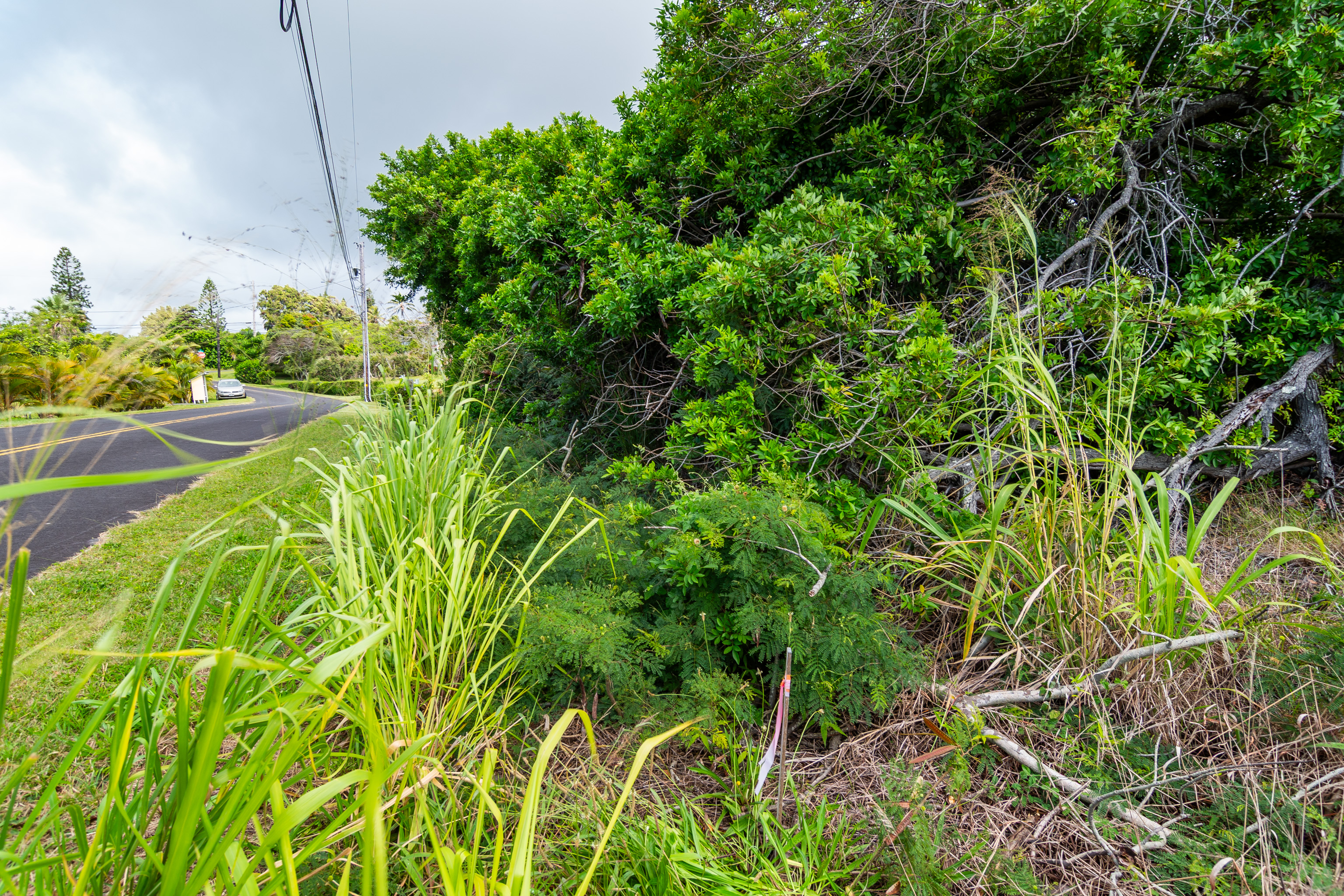 Makalii St Property Photo 5