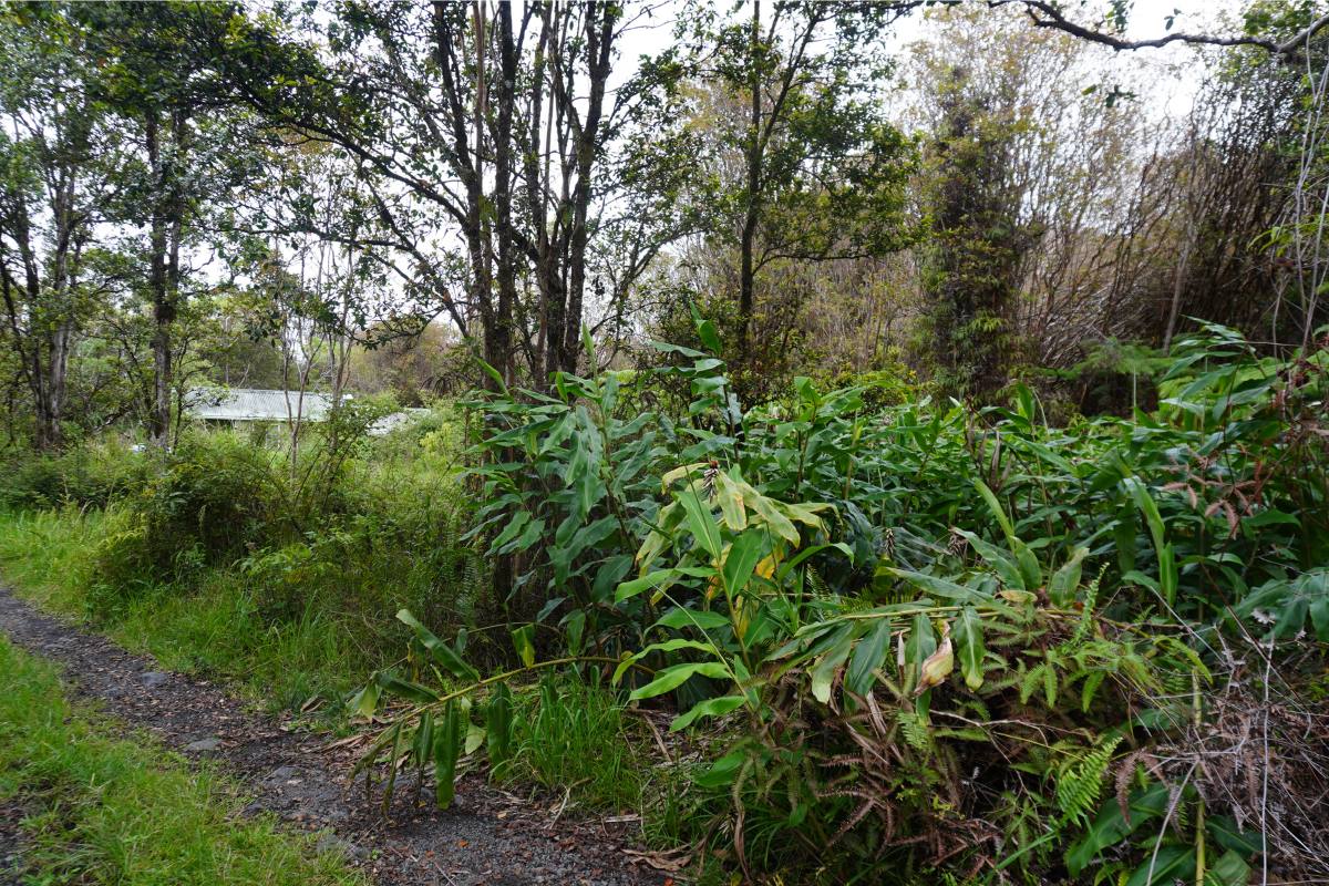 Road 12 Property Photo 3