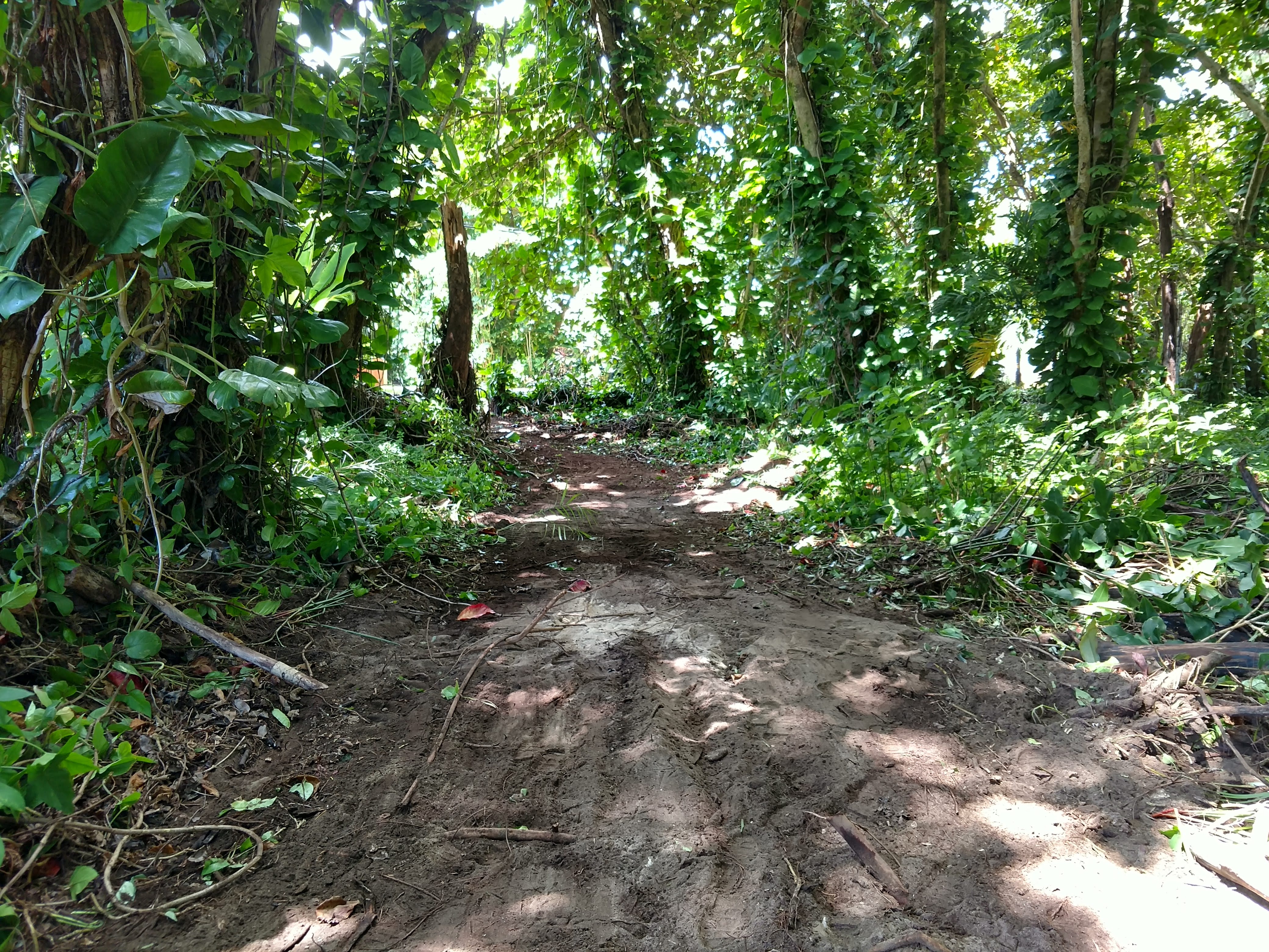 Cr Kuhio Hwy/alamihi Rd Property Photo 6