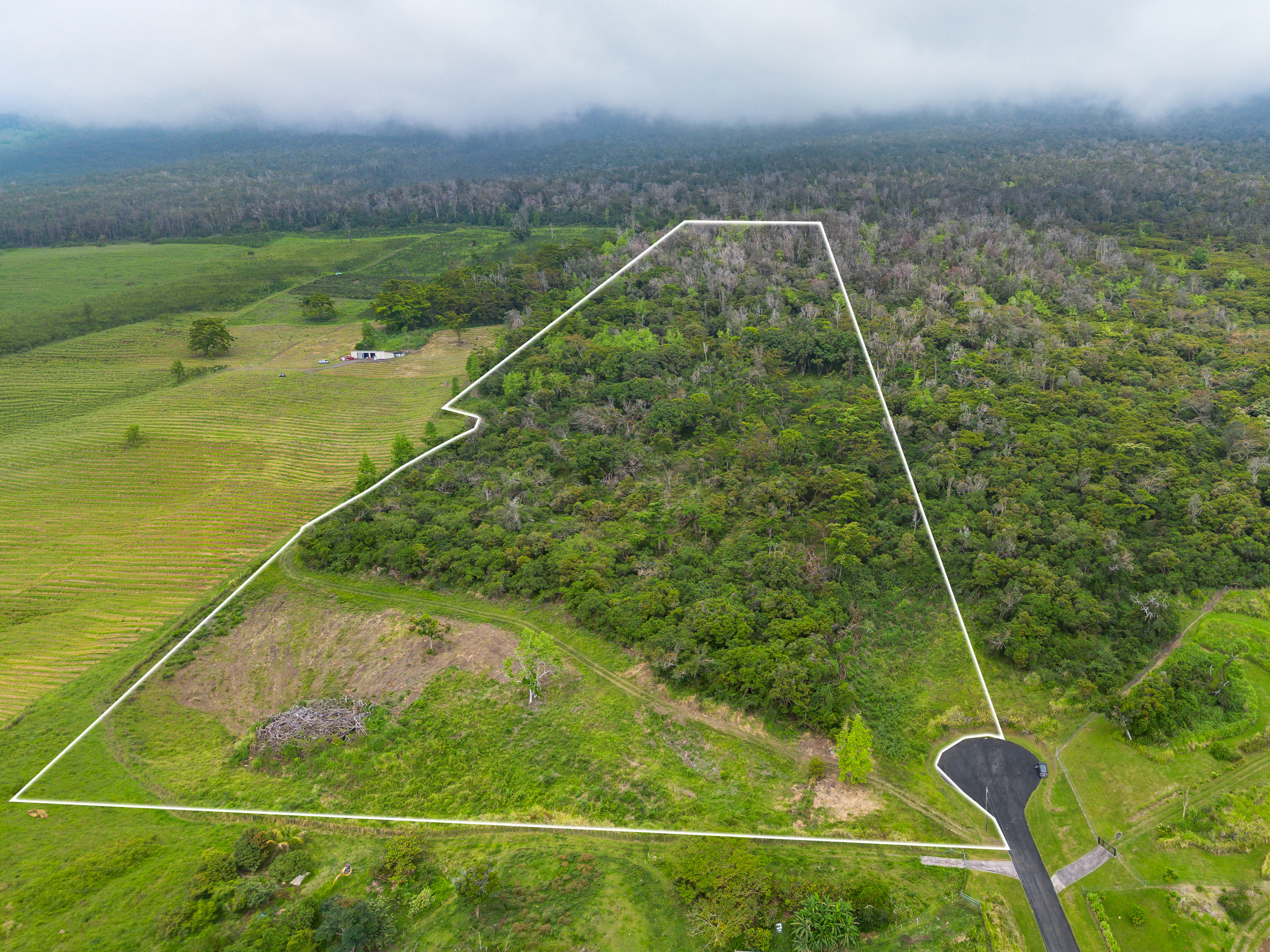 87-1081 Haleili Rd Property Photo 5