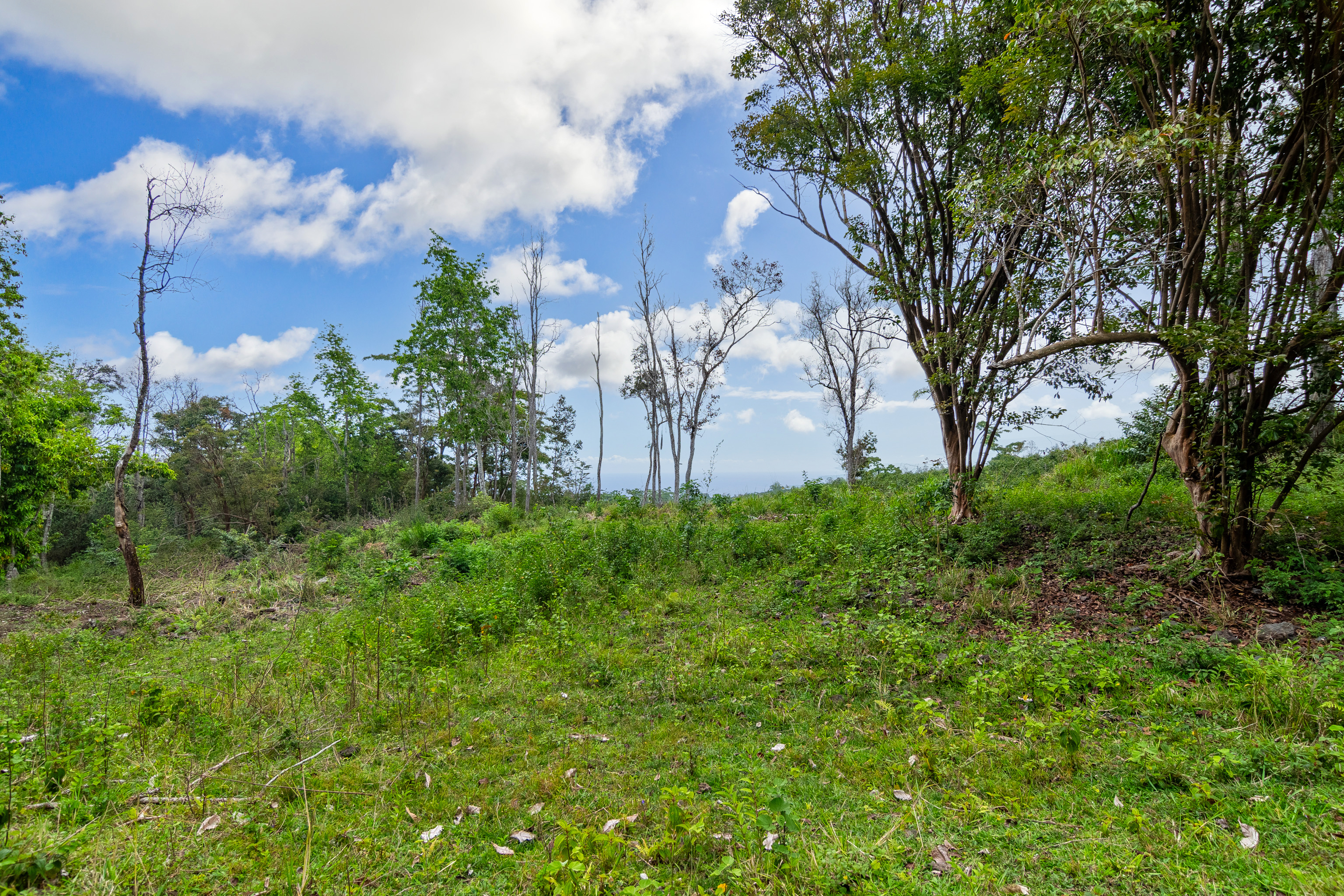 87-1081 Haleili Rd Property Photo 17