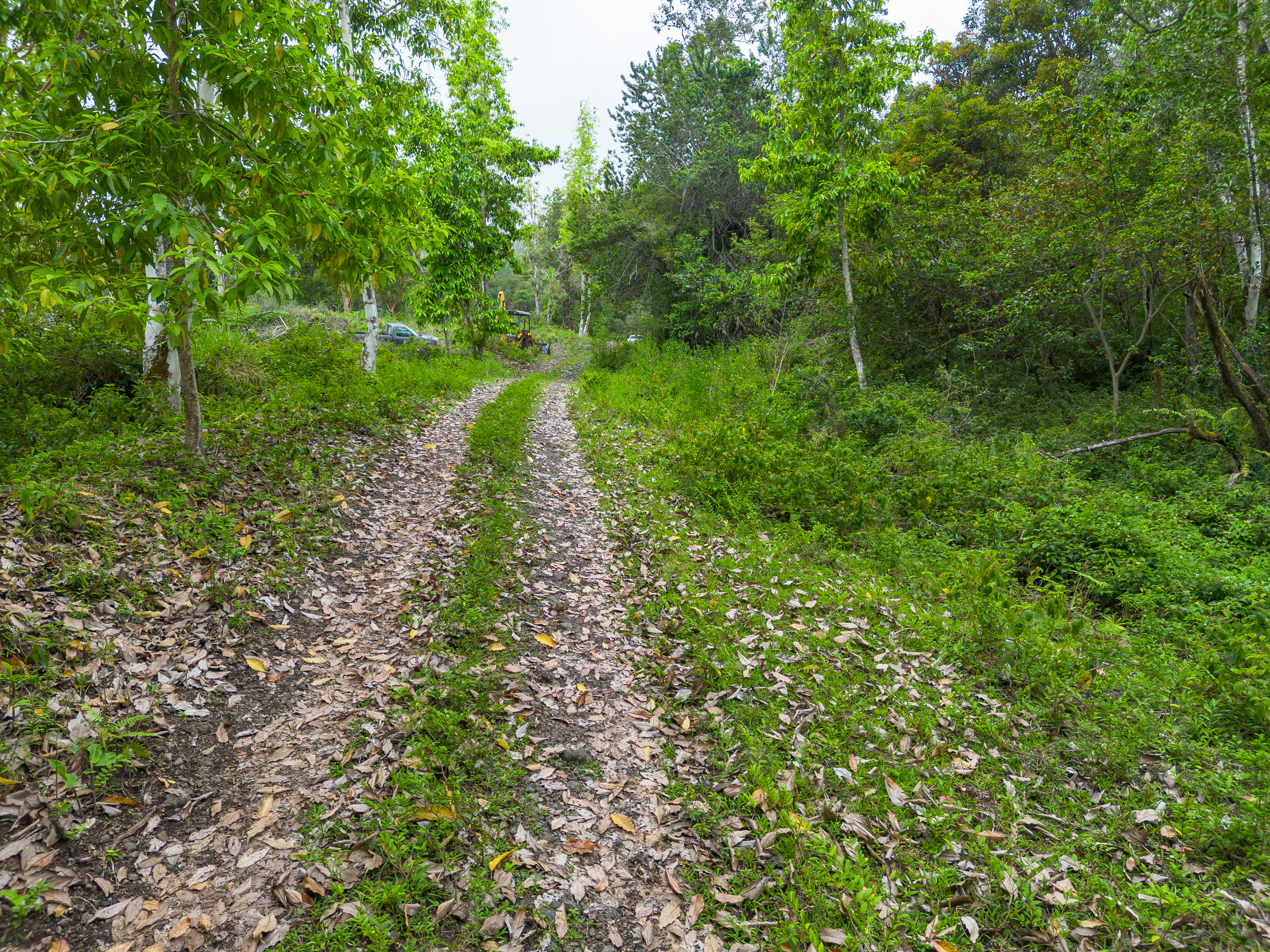 87-1081 Haleili Rd Property Photo 18