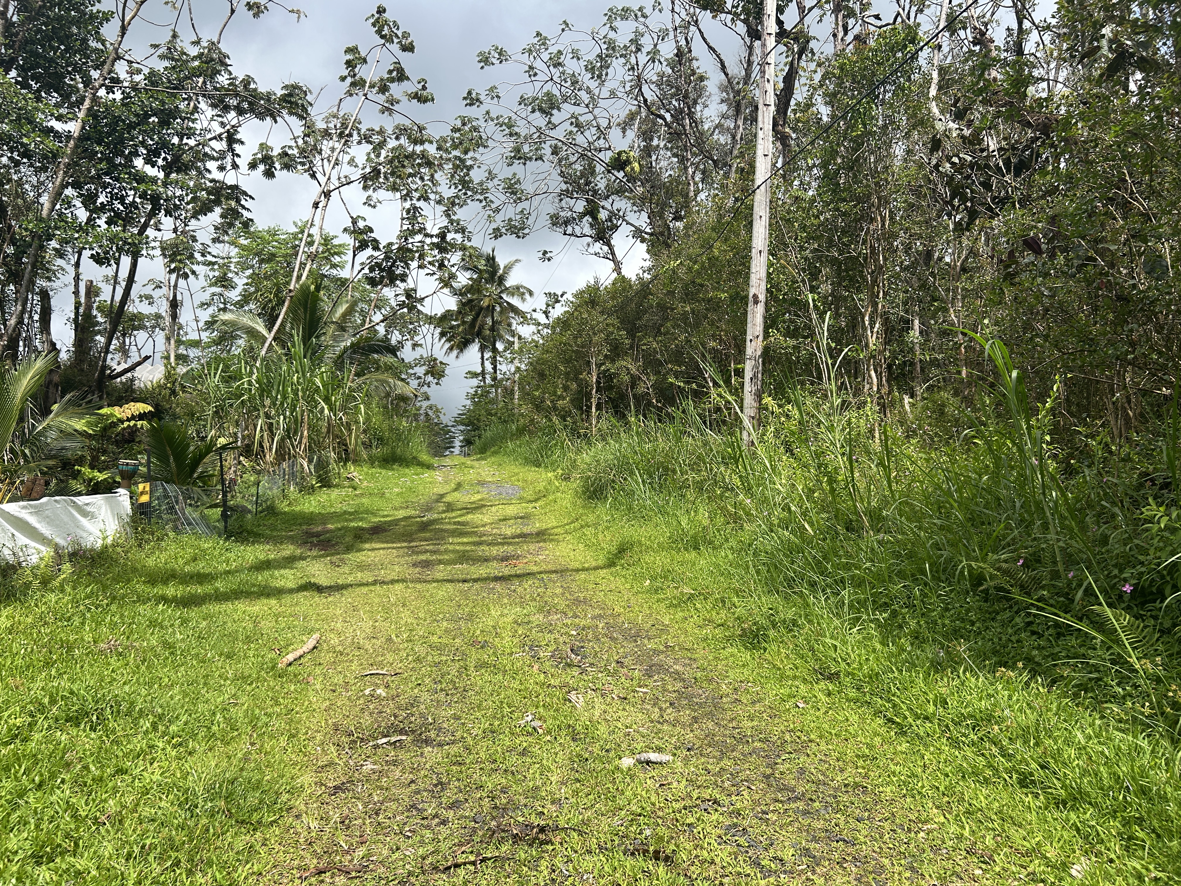 Maui Rd Property Photo 2