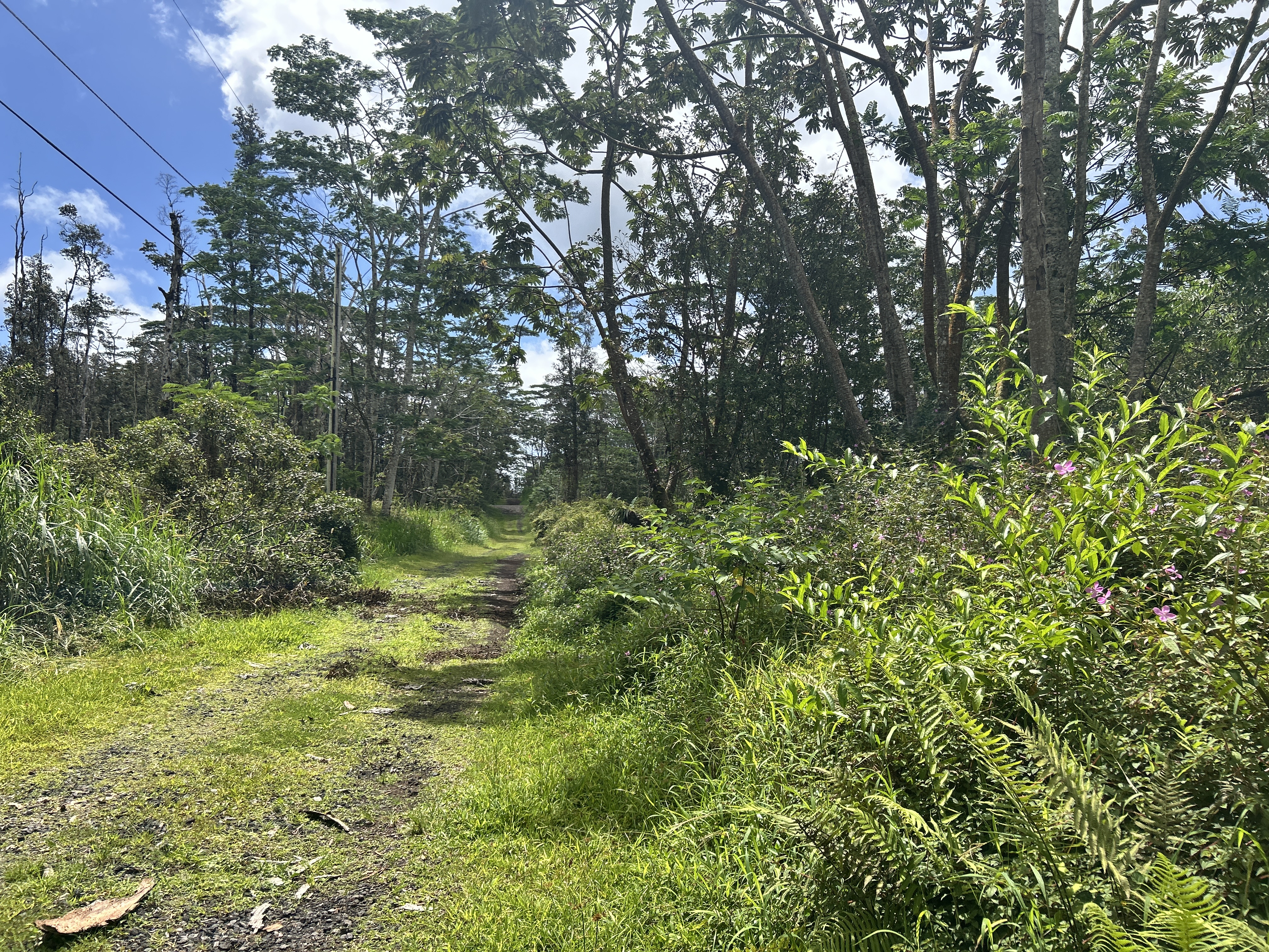 Maui Rd Property Photo 5