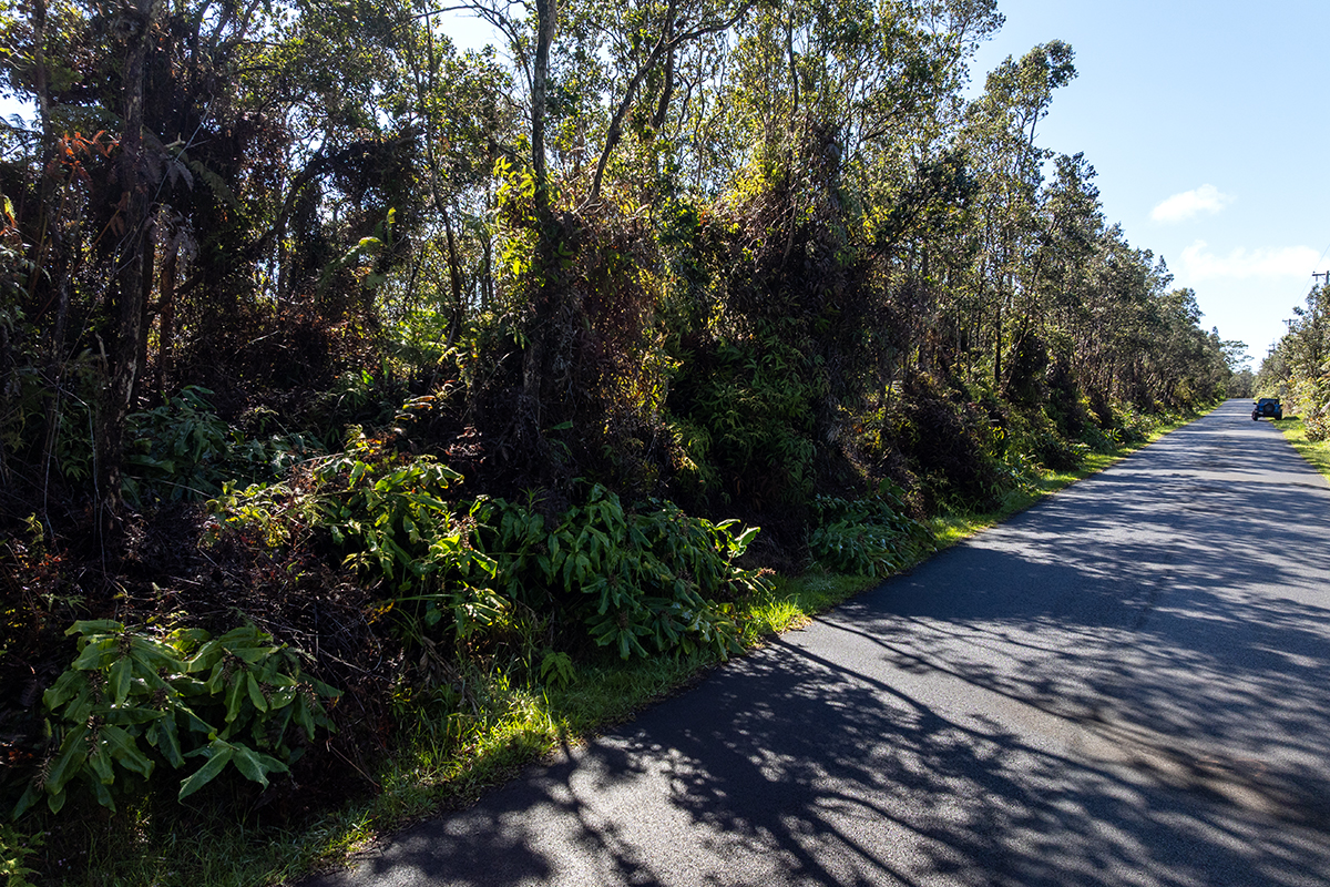 Nahelenani St Property Photo 15