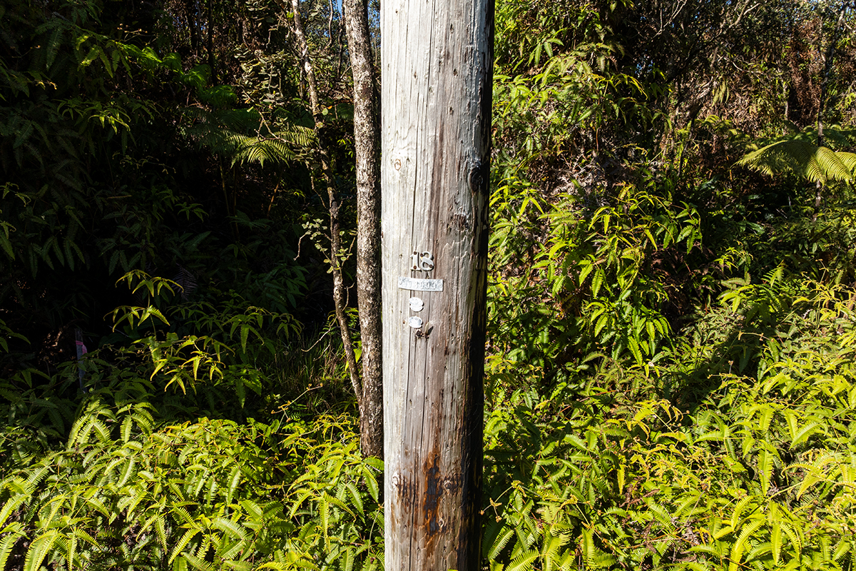 Nahelenani St Property Photo 16