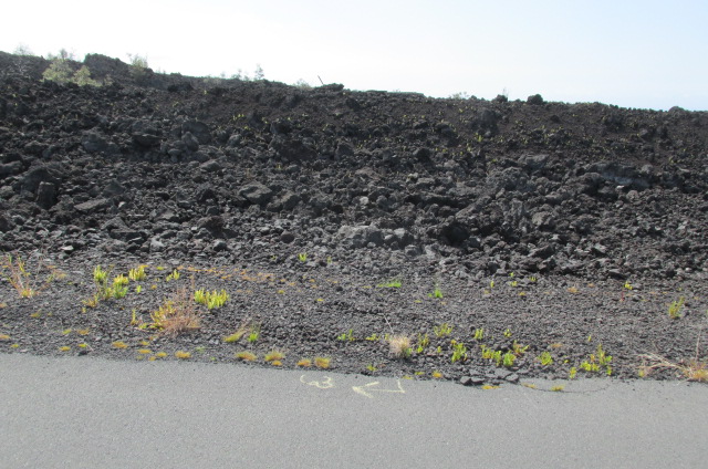 92-1072 Kona Gardens Rd Property Photo 4