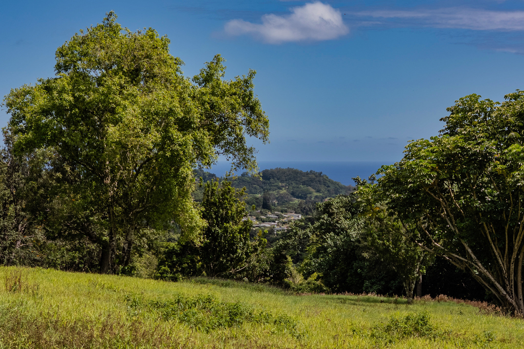 5078 Kua Rd Property Photo 5