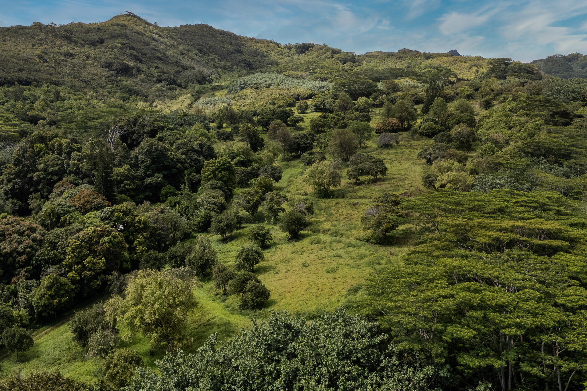5078 Kua Rd Property Photo 9