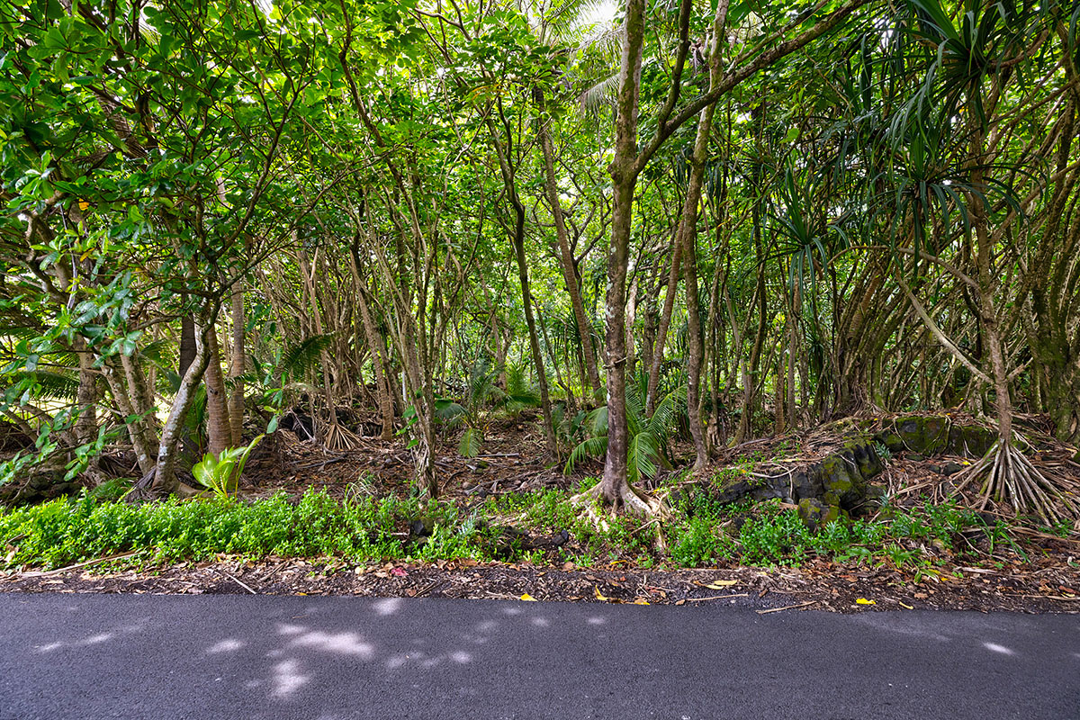 Government Beach Rd Property Photo 8