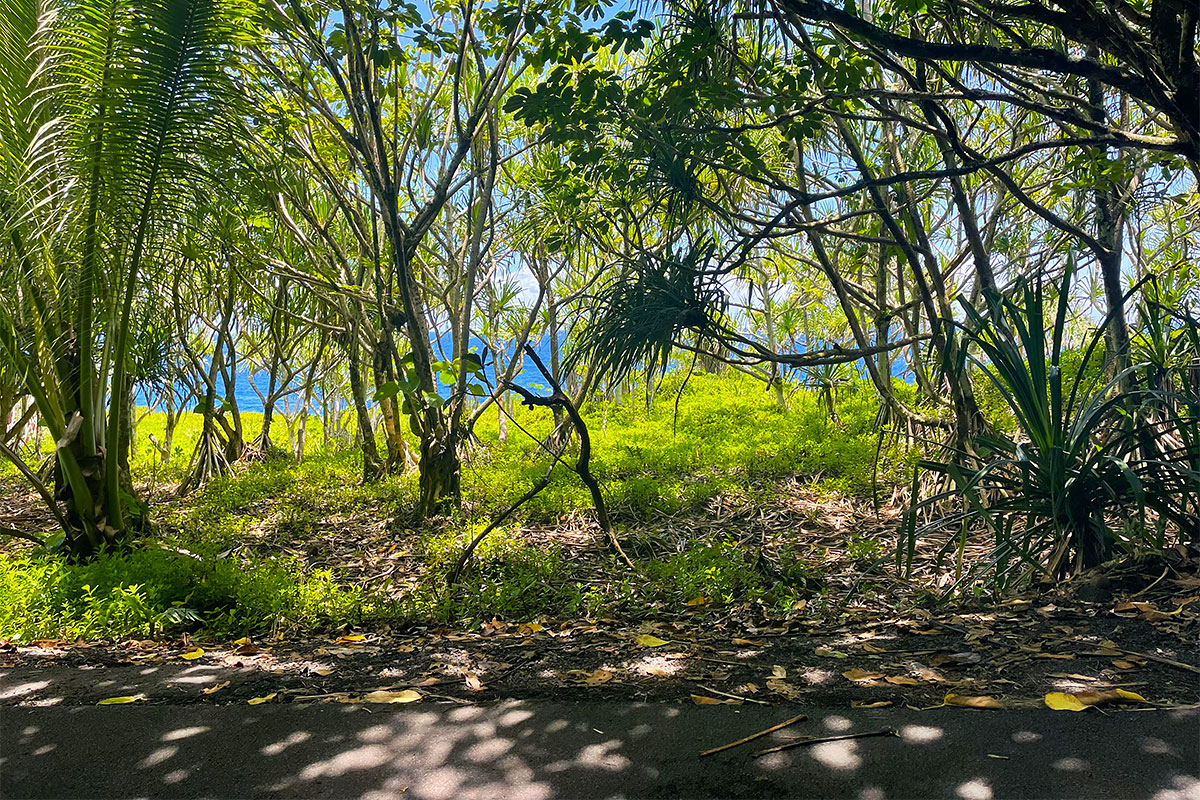 Government Beach Rd Property Photo 9