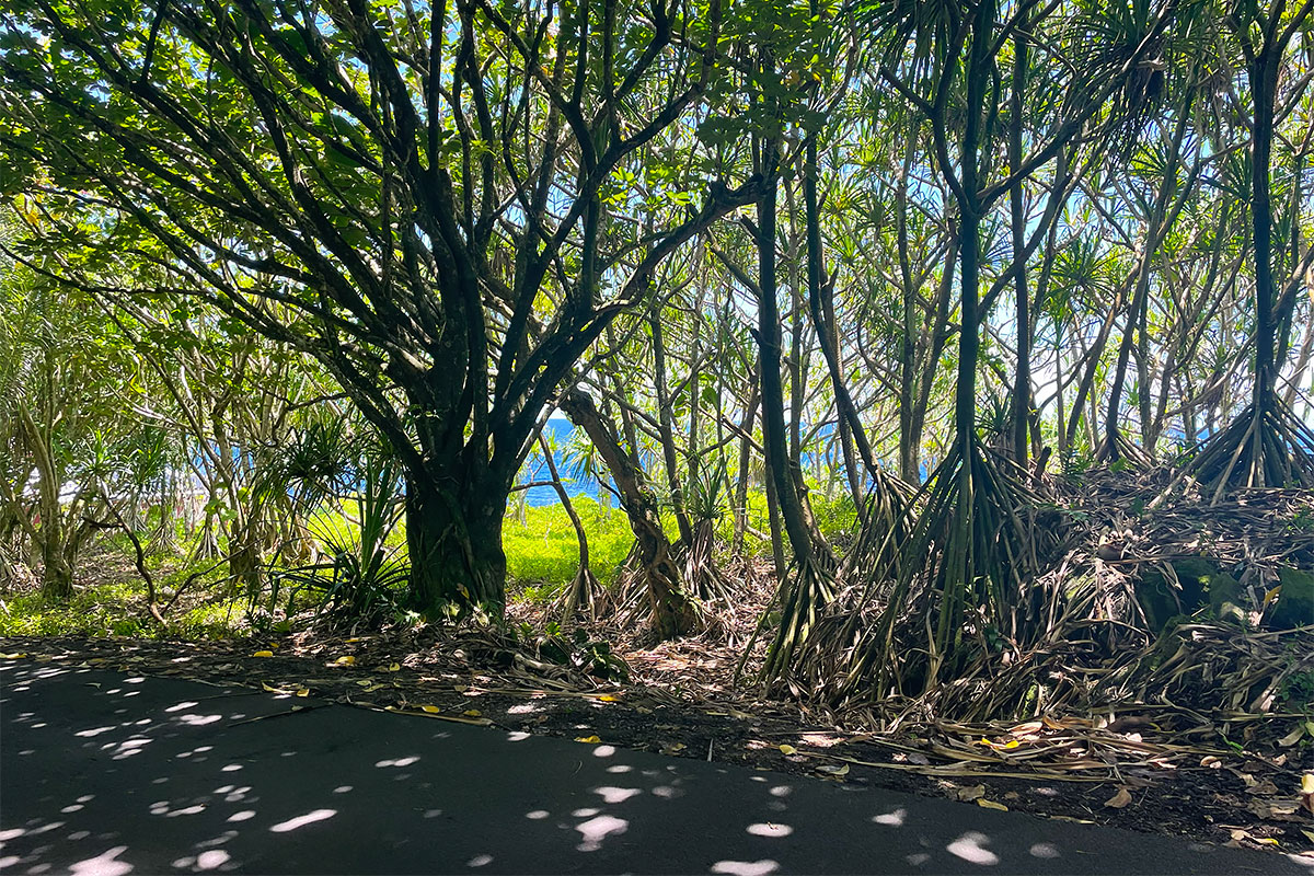 Government Beach Rd Property Photo 10