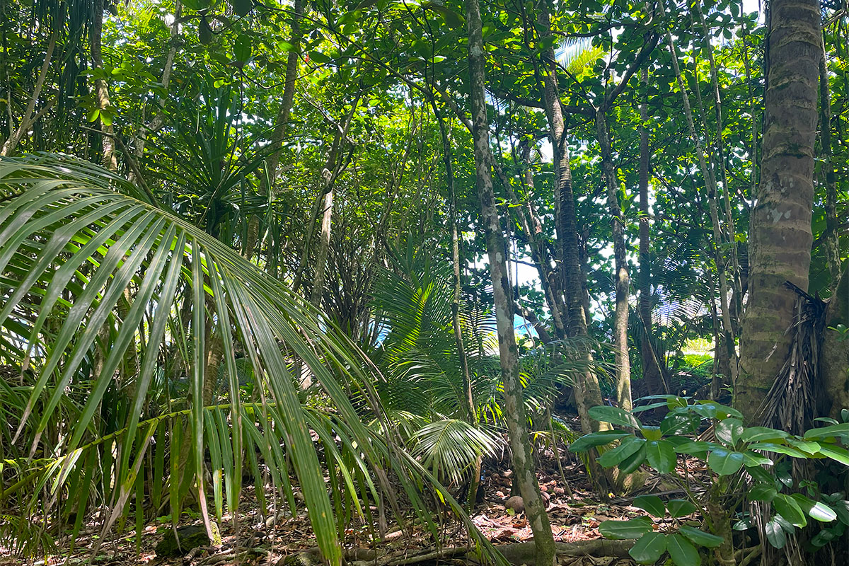 Government Beach Rd Property Photo 13