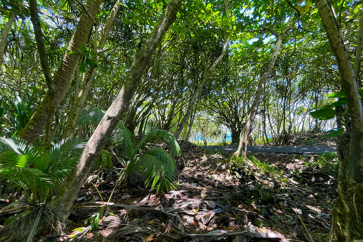 Government Beach Rd Property Photo 14