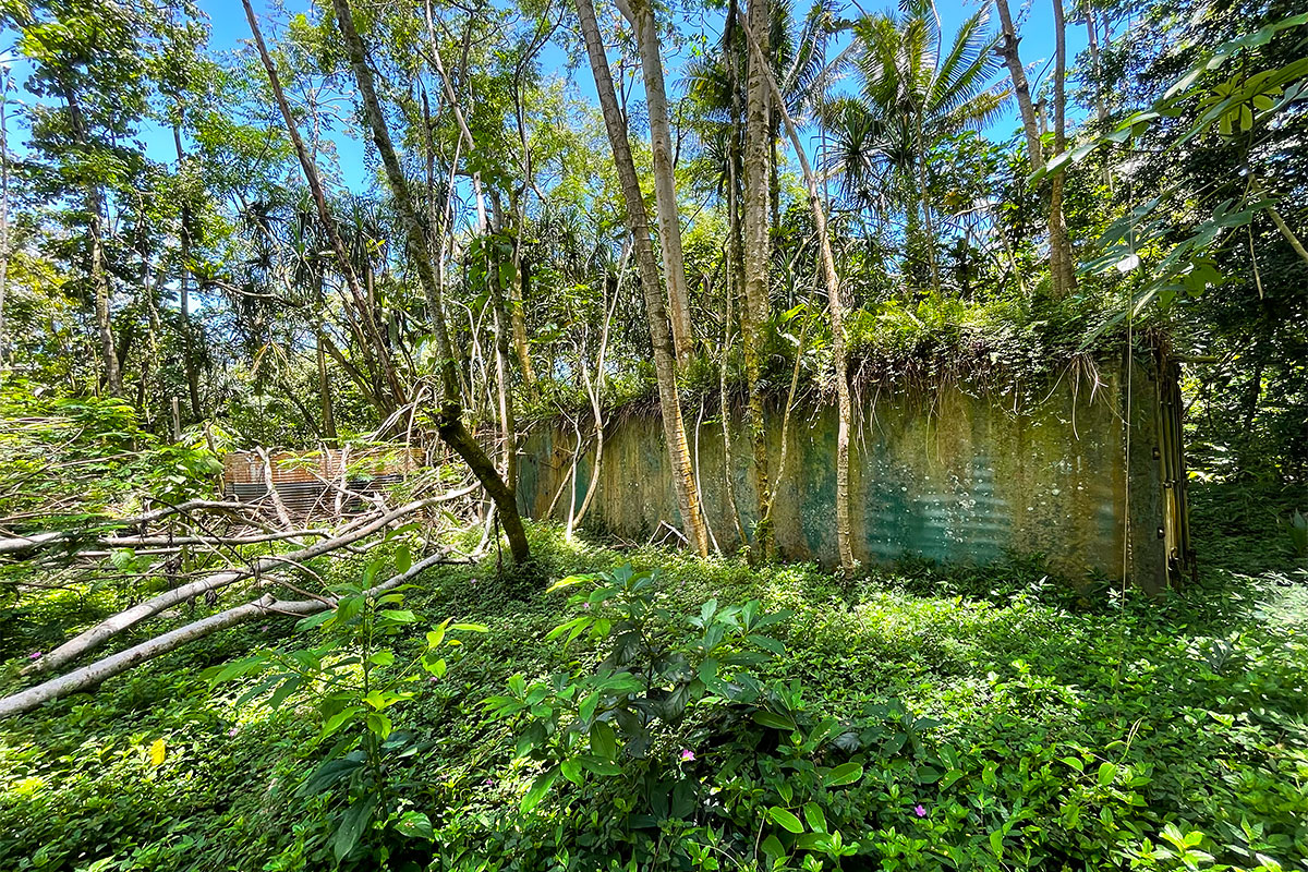 Government Beach Rd Property Photo 22