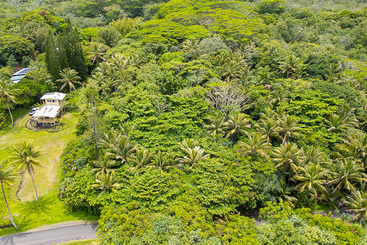 Government Beach Rd Property Photo 26