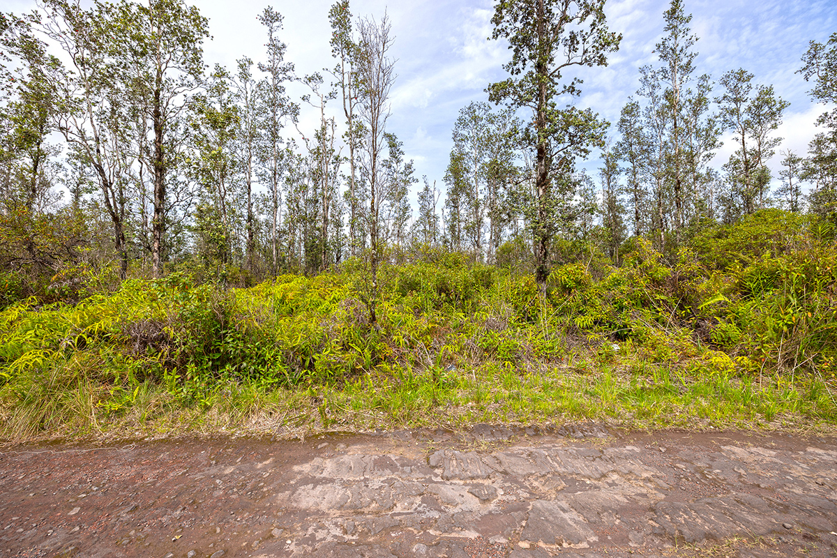 16-2191 Road 4 (io Kea) Property Photo 1