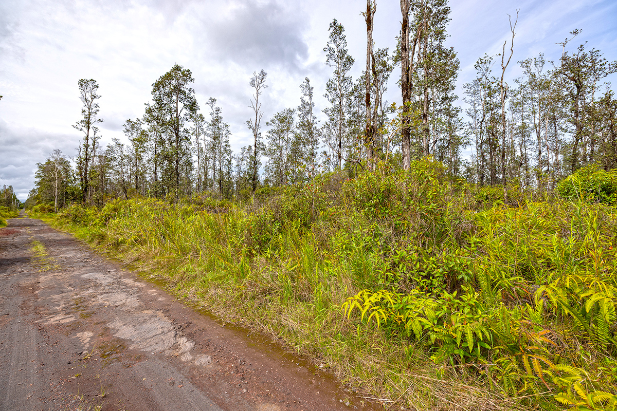 16-2191 Road 4 (io Kea) Property Photo 4