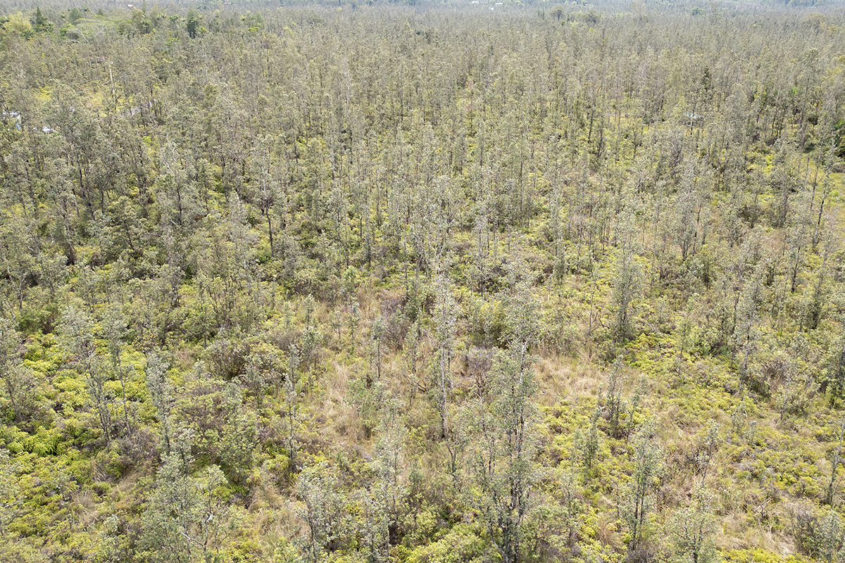 16-2191 Road 4 (io Kea) Property Photo 13