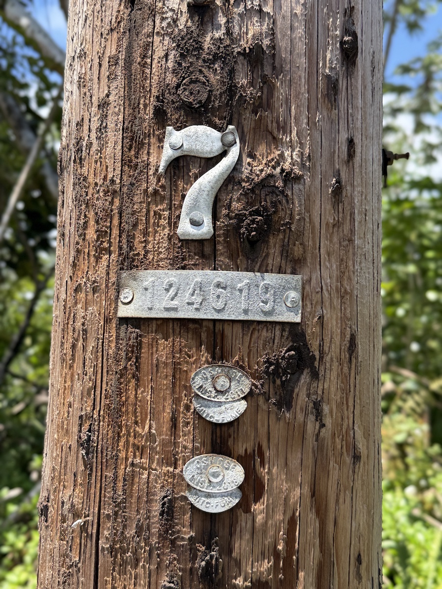 11th Ave Property Photo 5