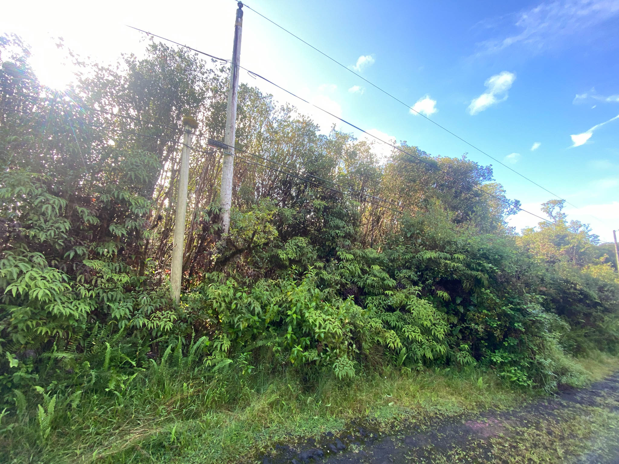 18-1259 Kauai St Property Photo 3