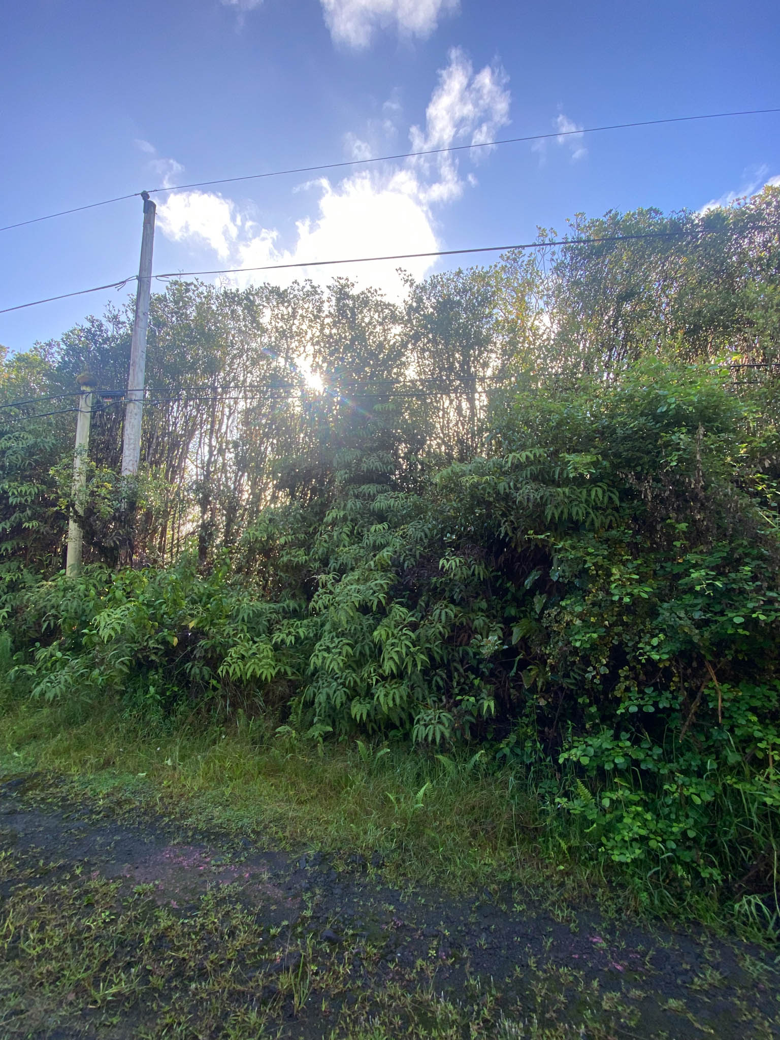 18-1259 Kauai St Property Photo 6