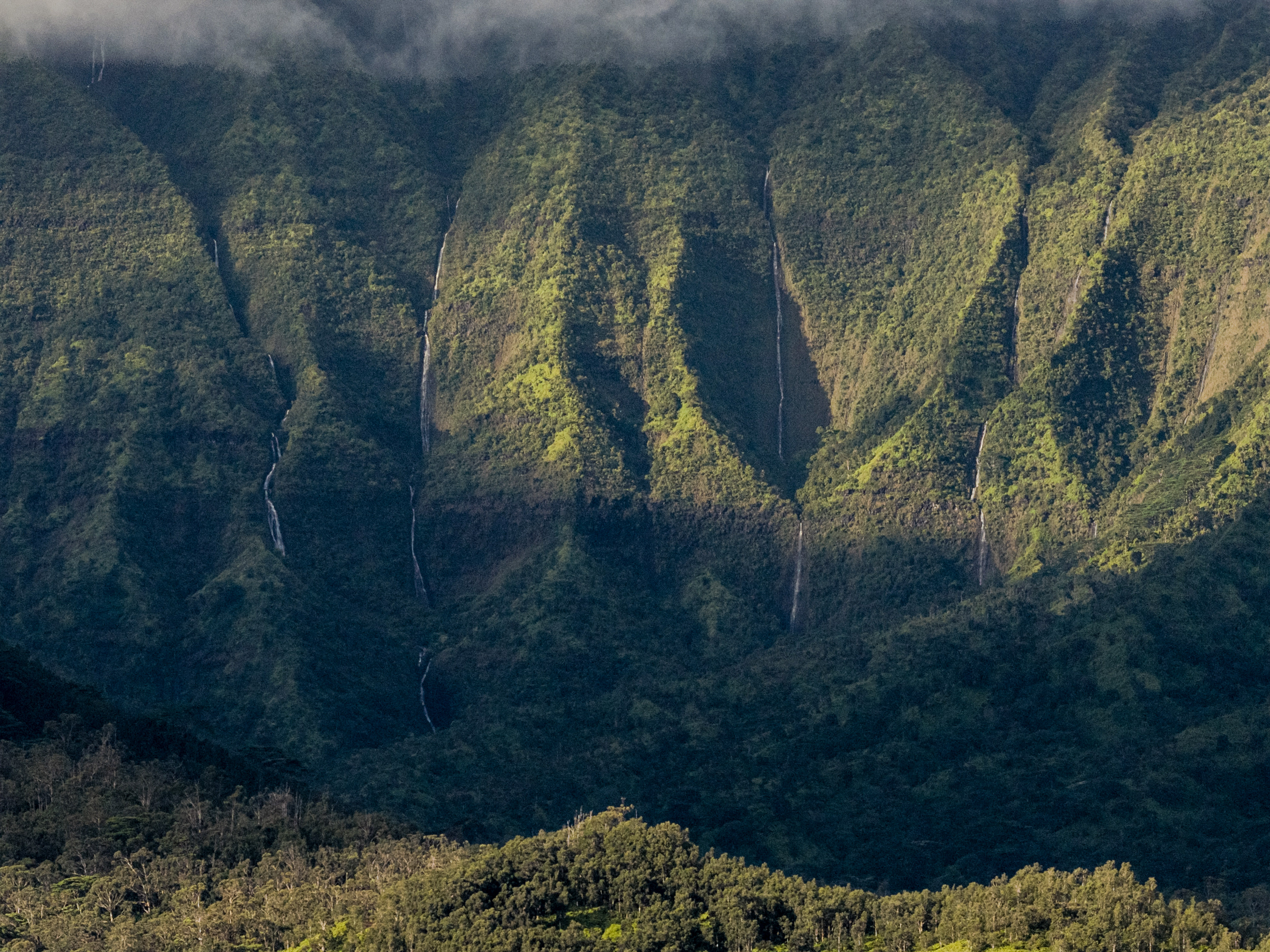 Hanalei Plantation Rd Property Photo 4