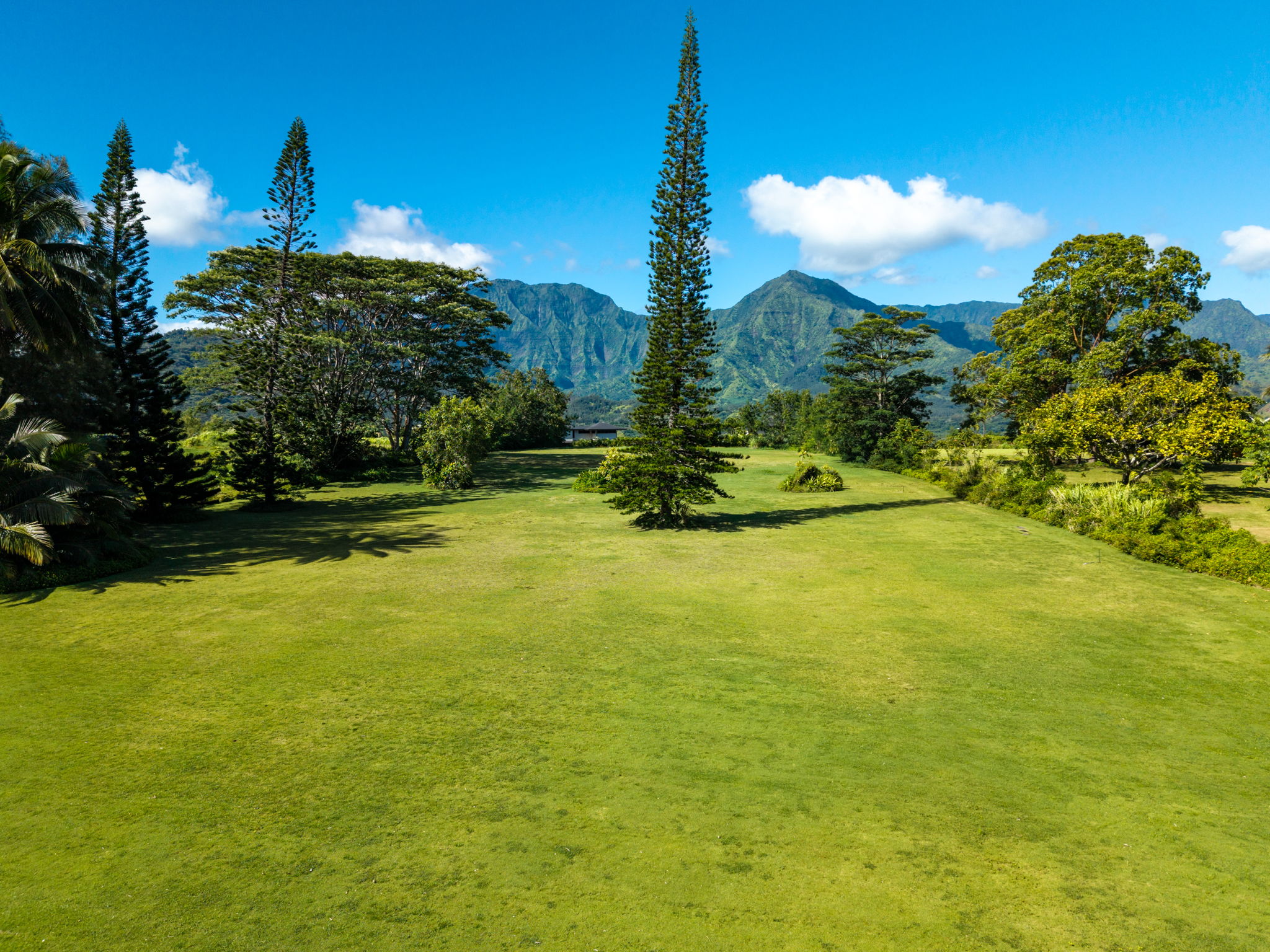 Hanalei Plantation Rd Property Photo 8