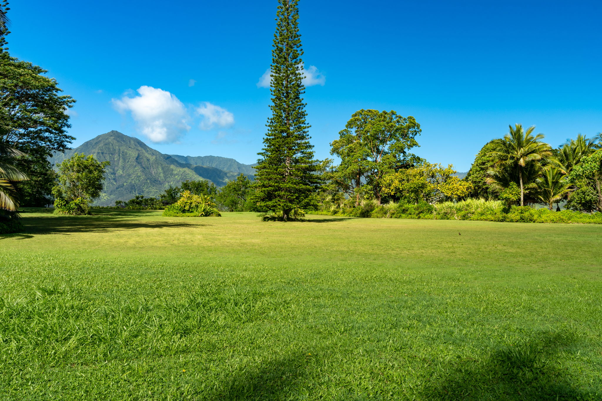 Hanalei Plantation Rd Property Photo 9