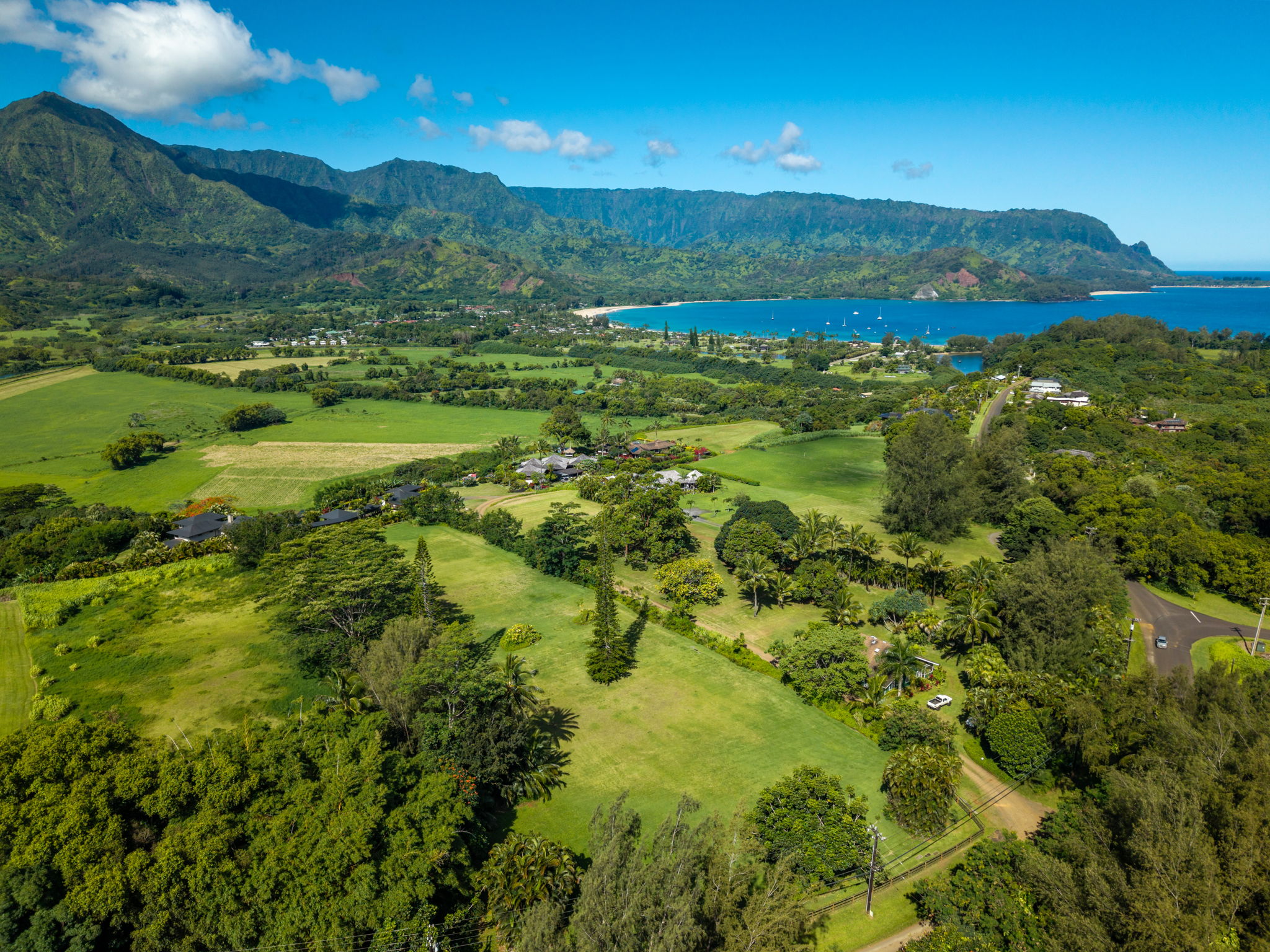 Hanalei Plantation Rd Property Photo 14