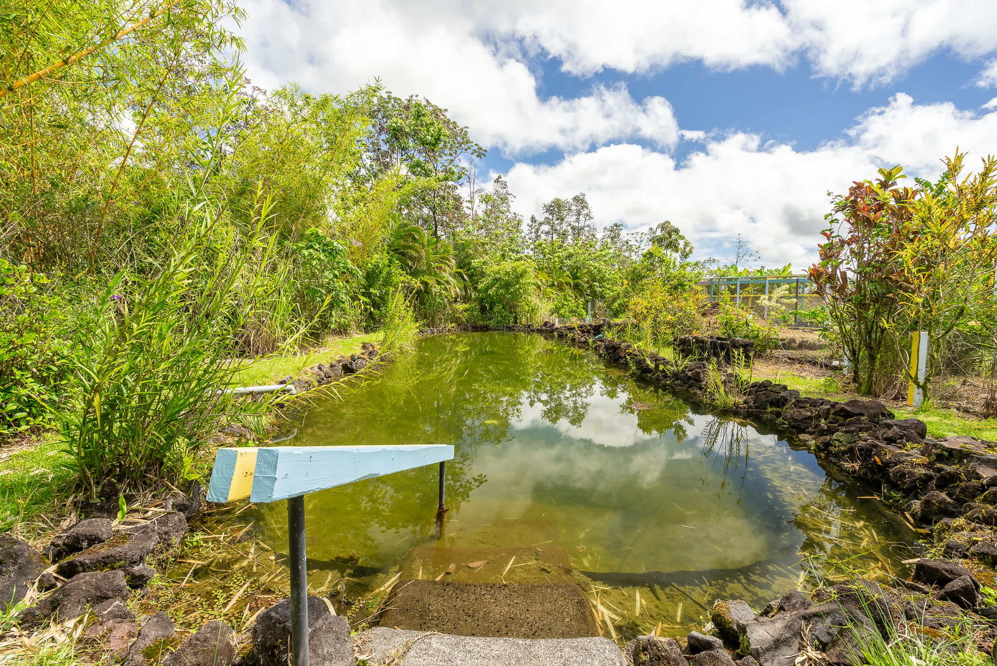 16-1755 Koloa Maoli Rd Property Photo 5