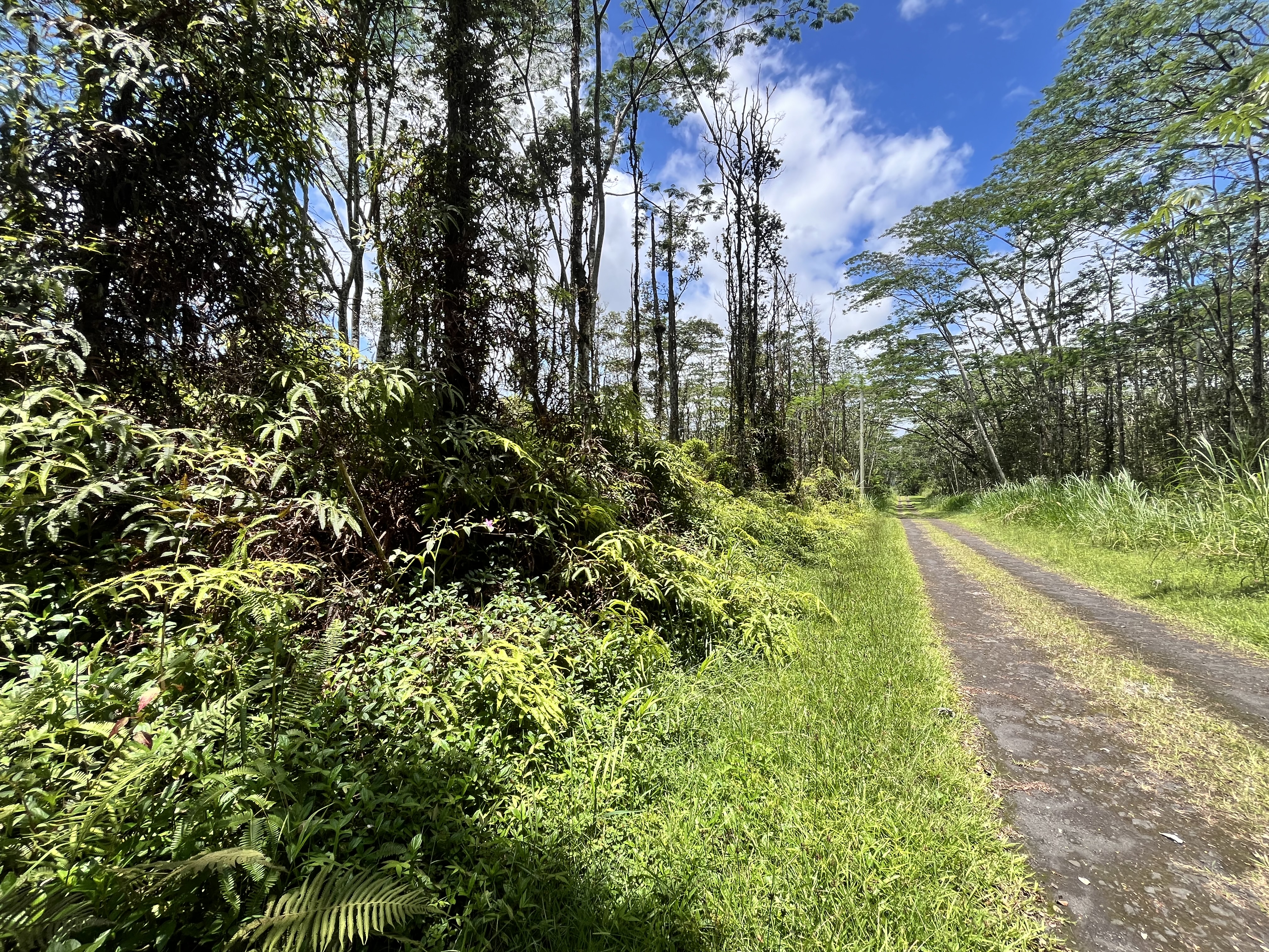 Pikake Rd Property Photo 3