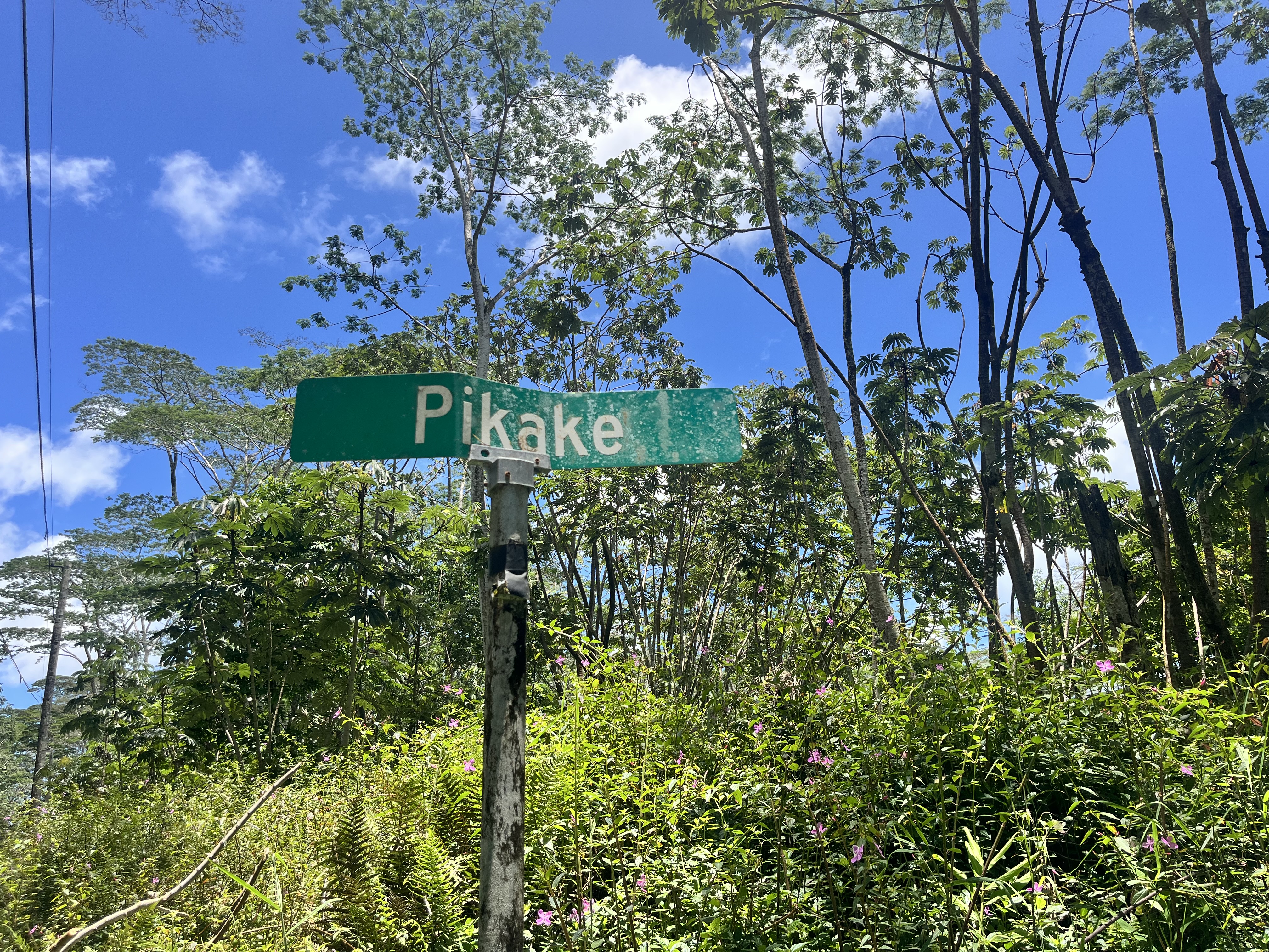 Pikake Rd Property Photo 6