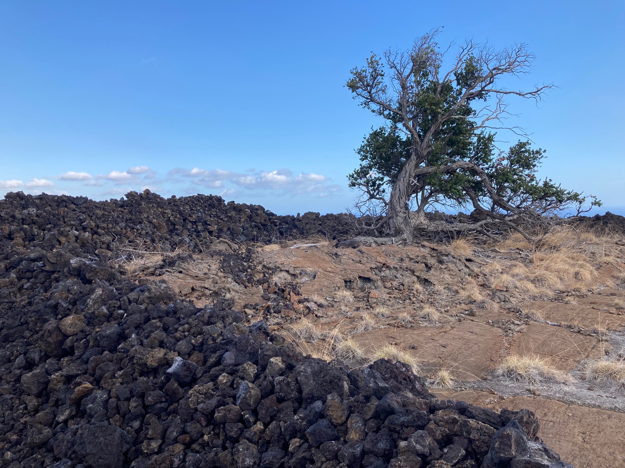 Leilani Makai Rd Property Photo 1