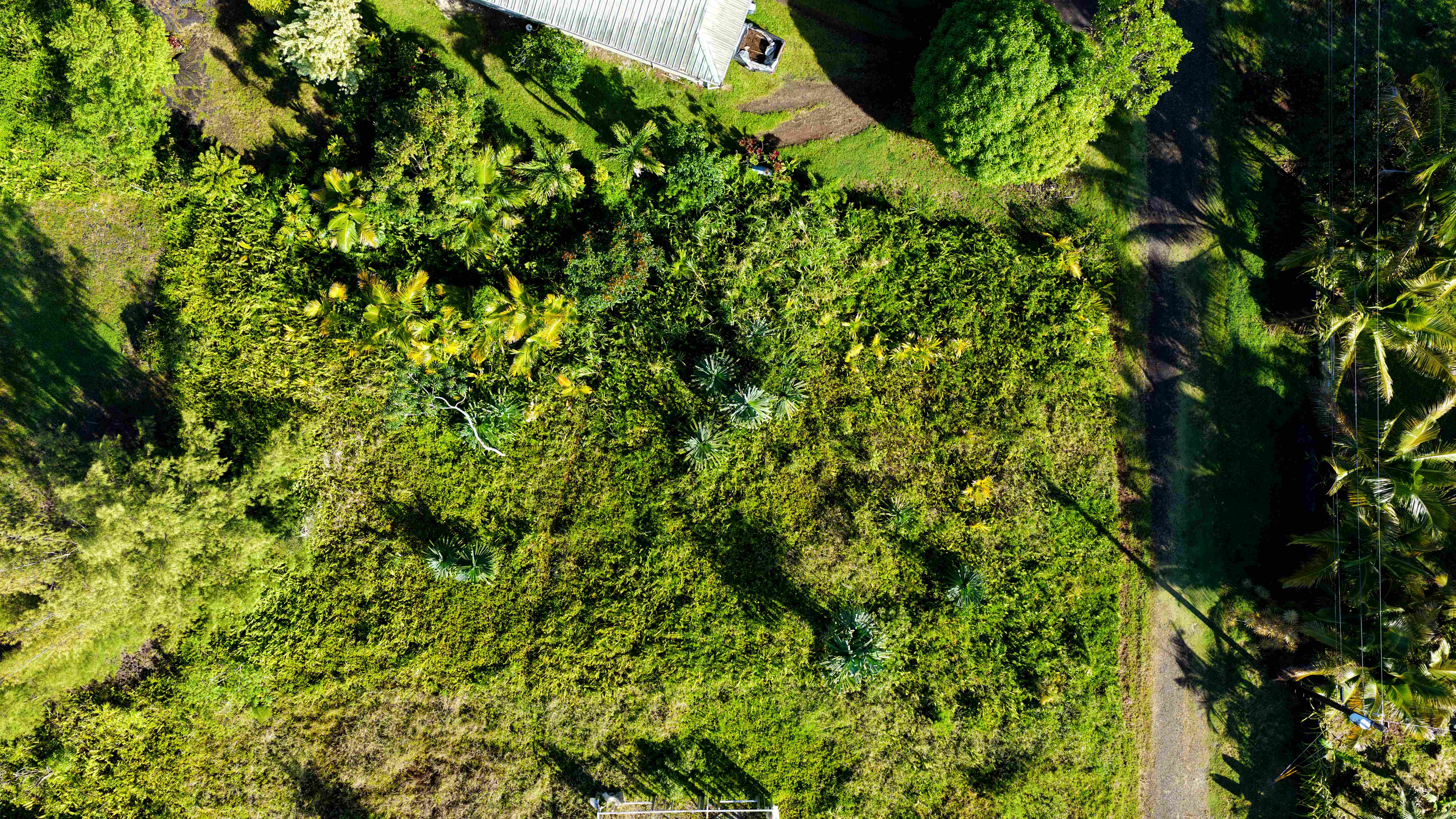 15-1032 Wahi Heiau Pl Property Photo 12