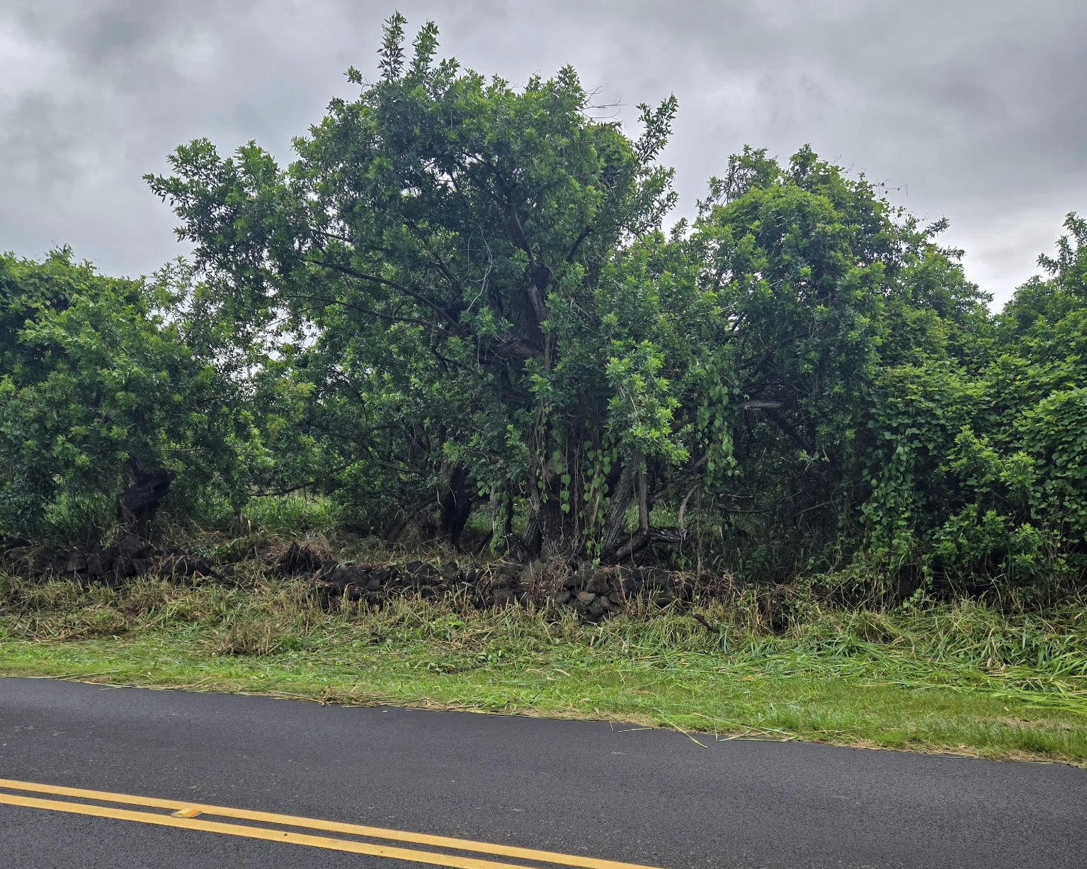 Kaalualu Rd Property Photo 3