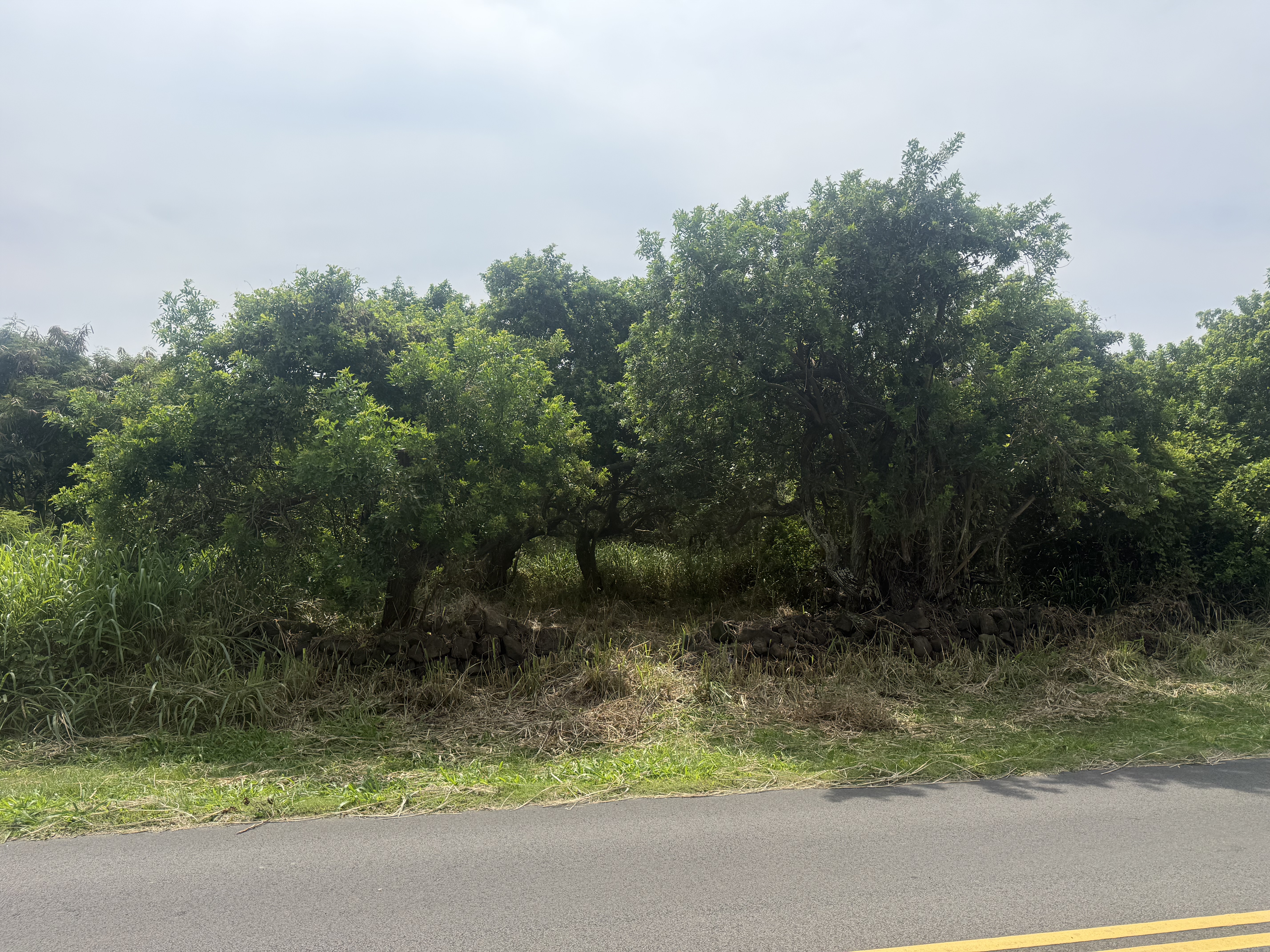 Kaalualu Rd Property Photo 8