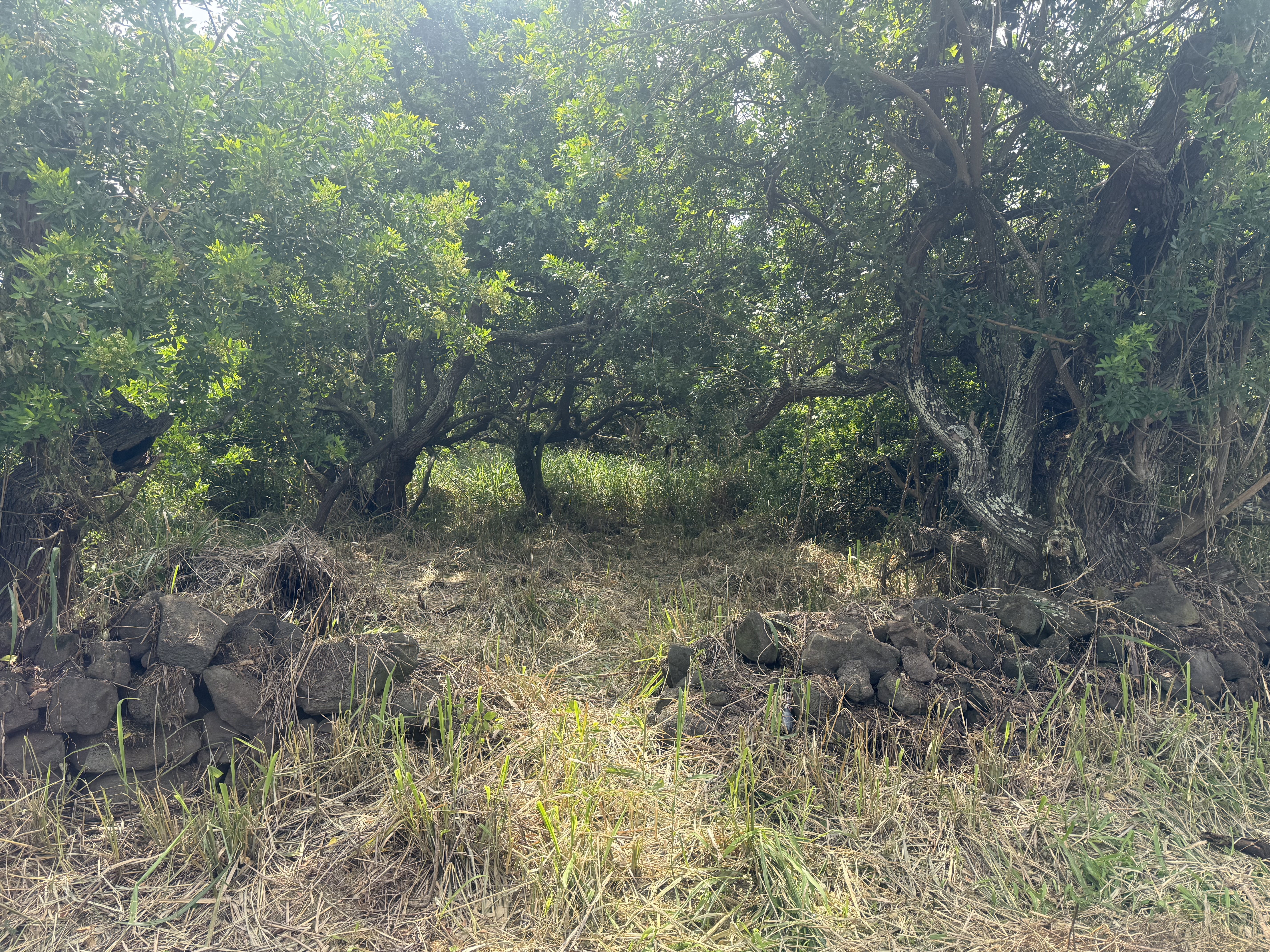 Kaalualu Rd Property Photo 9