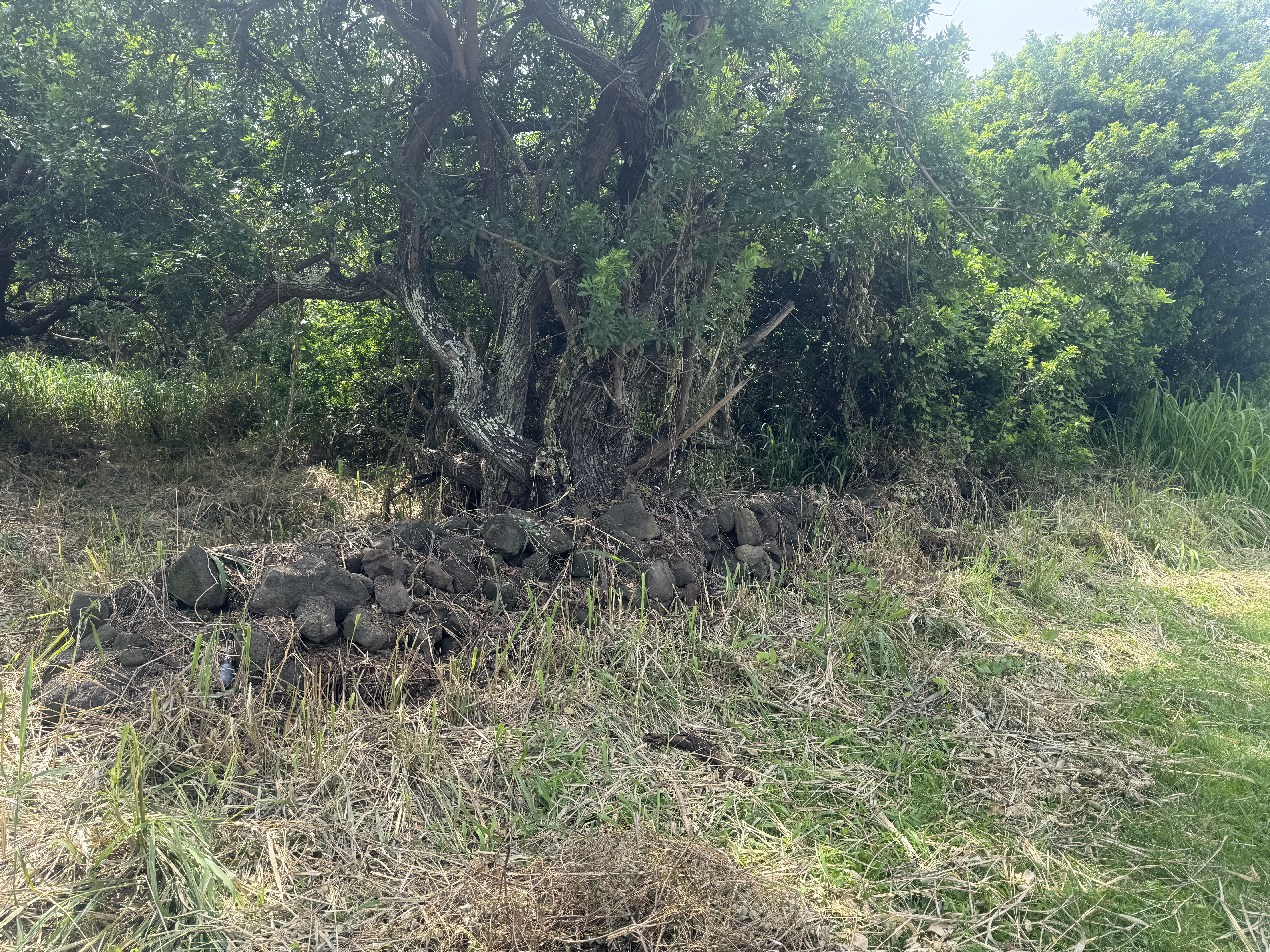 Kaalualu Rd Property Photo 10