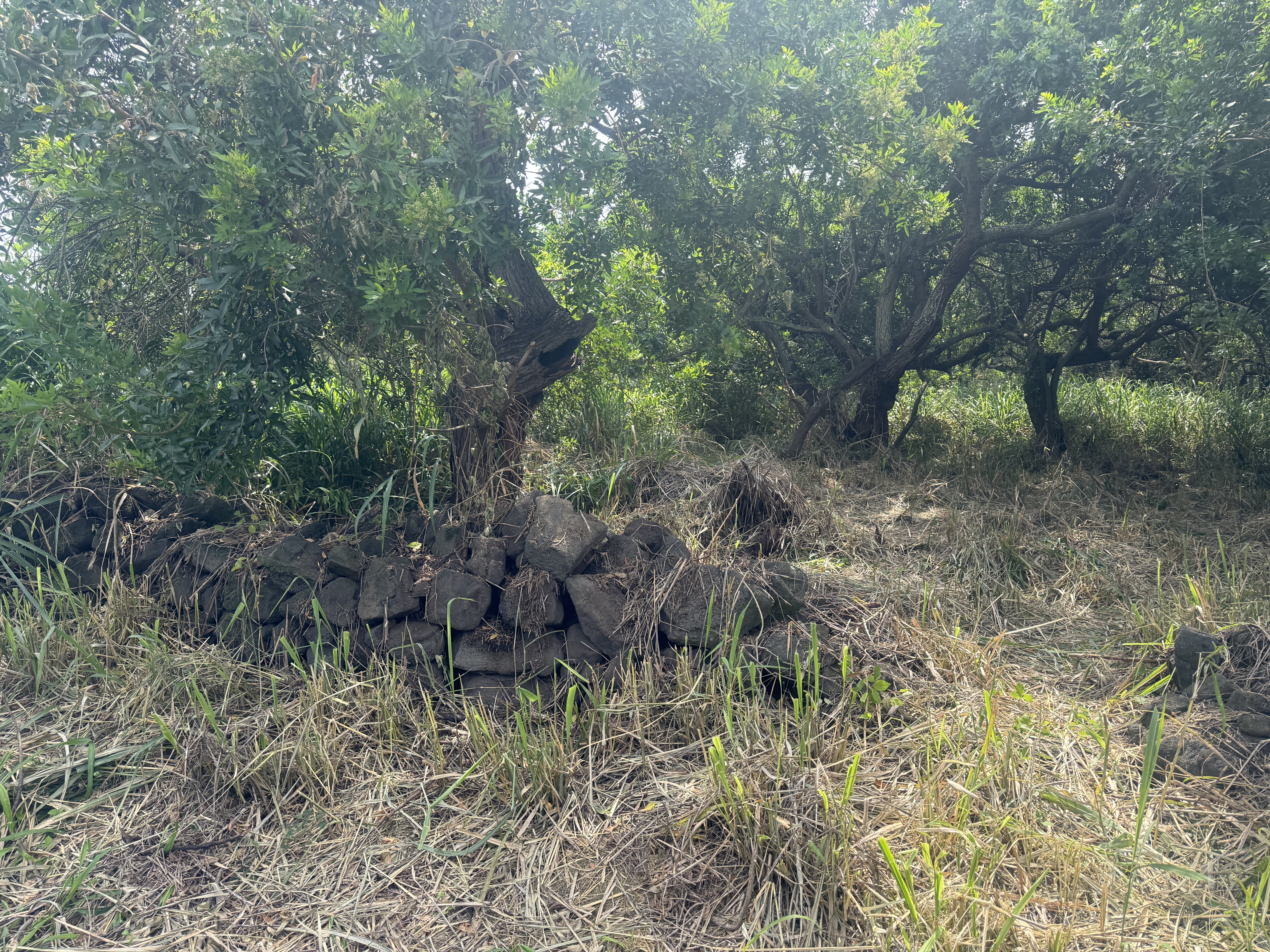 Kaalualu Rd Property Photo 11