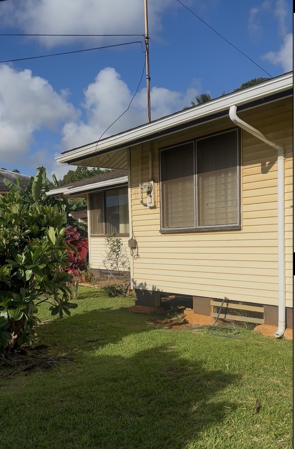 2943 Aukoi St Property Photo 1